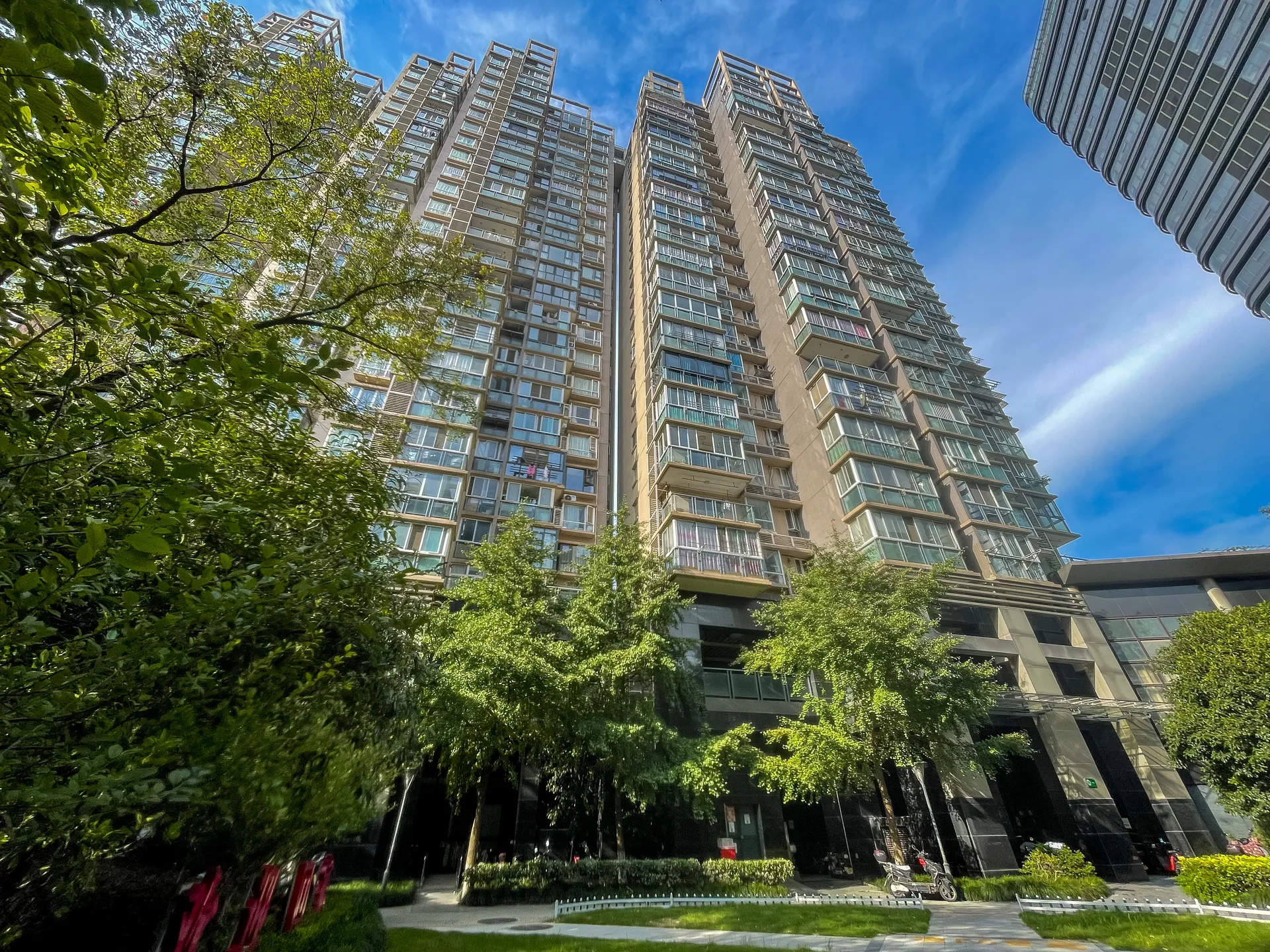 Modern  Garden - Photo 4