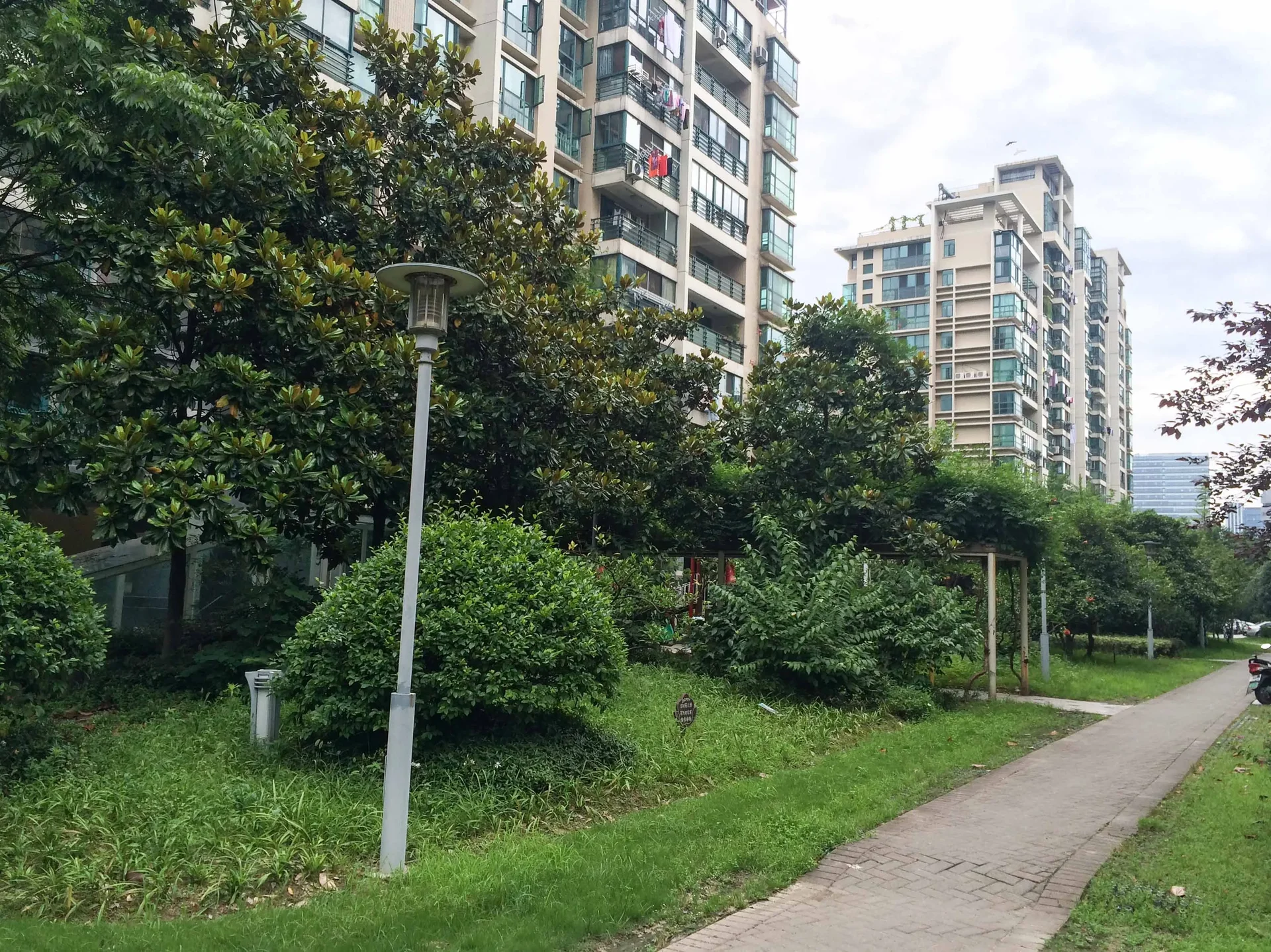 Qiantang Spring Dawn - Photo 2