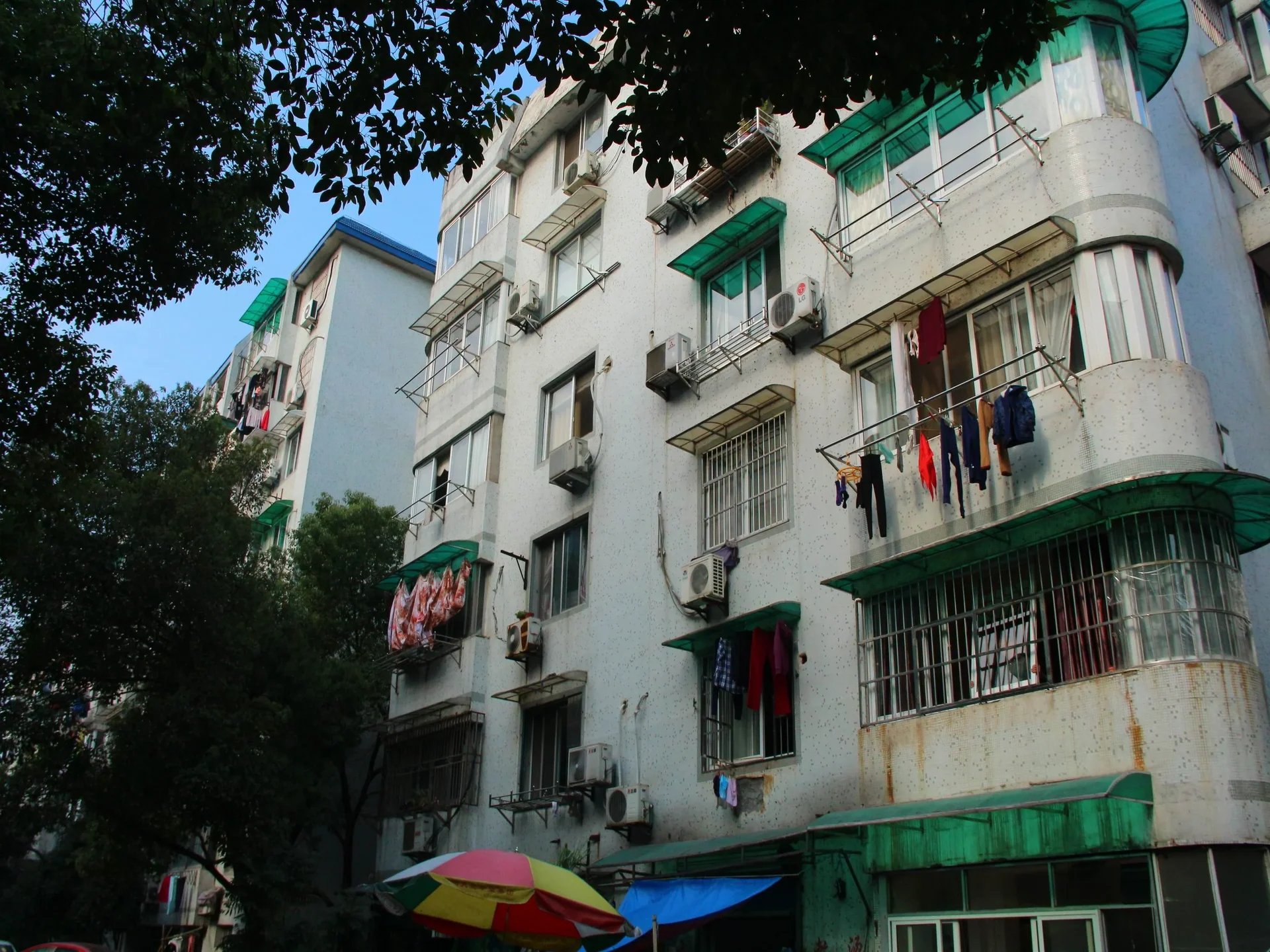 Nandu Garden - Photo 28