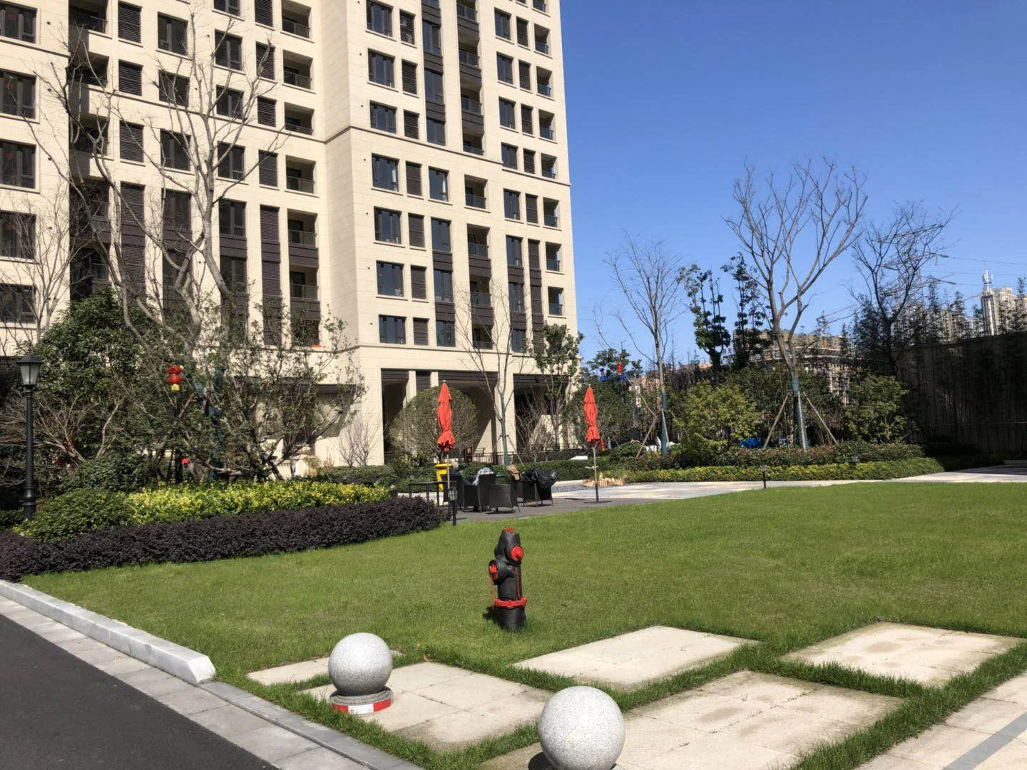 Golden Dawn Light - Photo 9