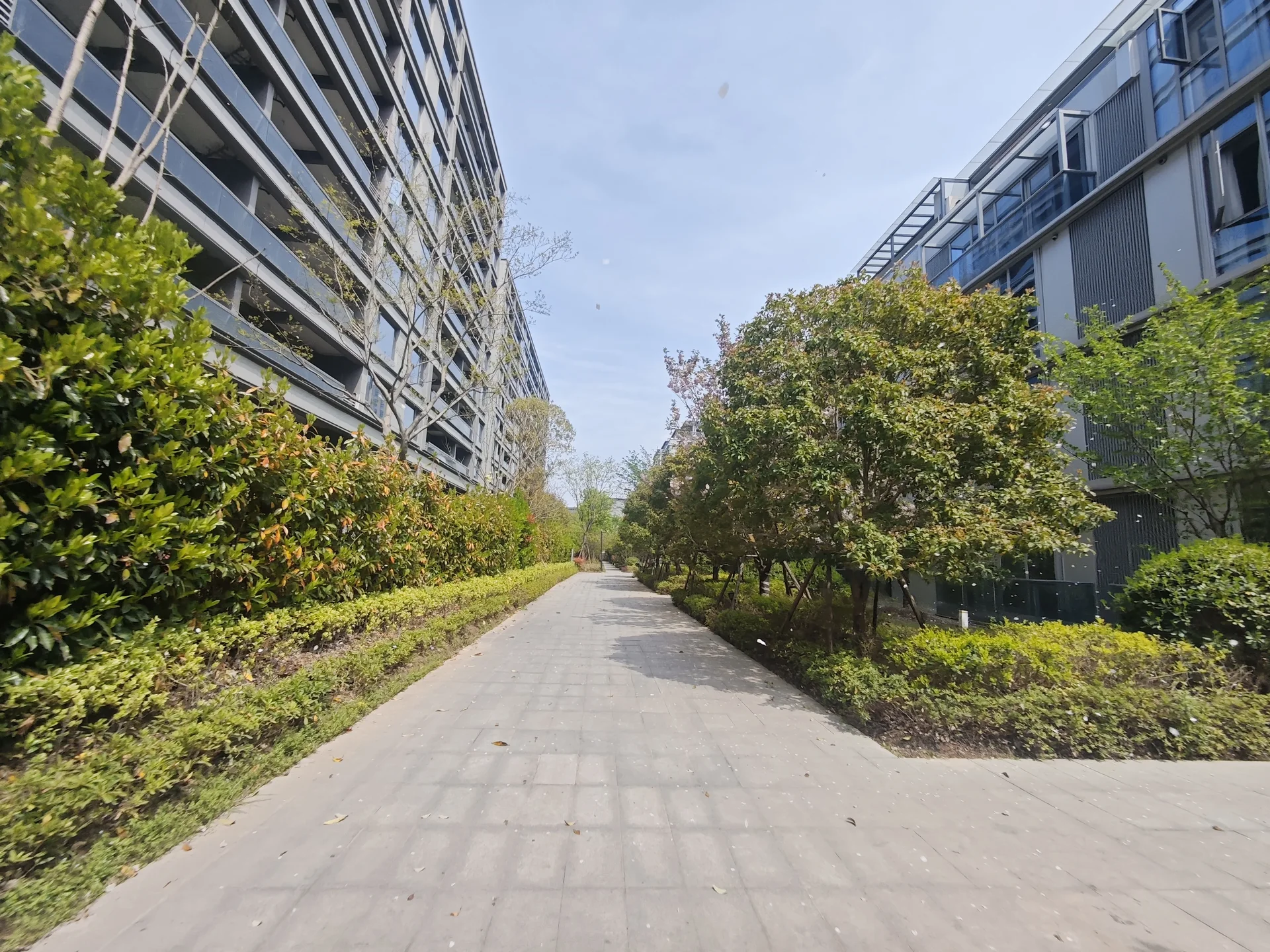 Cloudscape Mansion - Photo 7