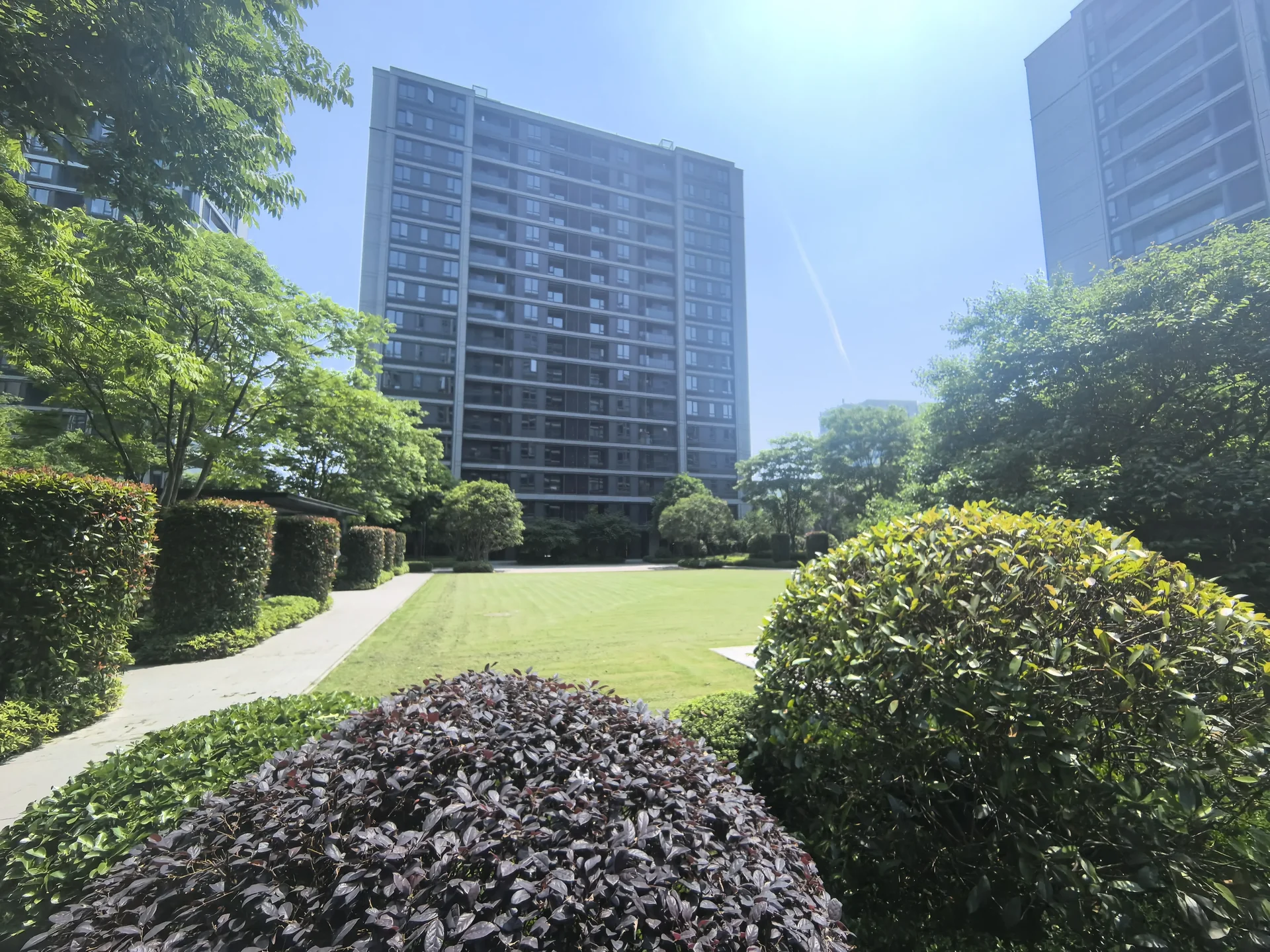 Orient Spring - Photo 1