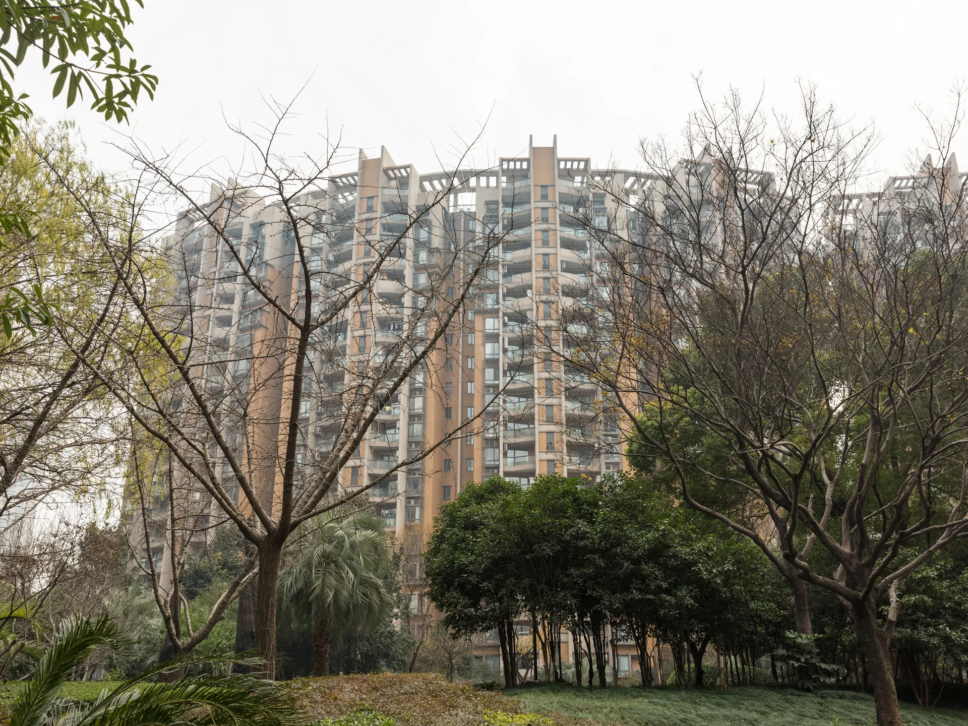 Golden Homes - Photo 13