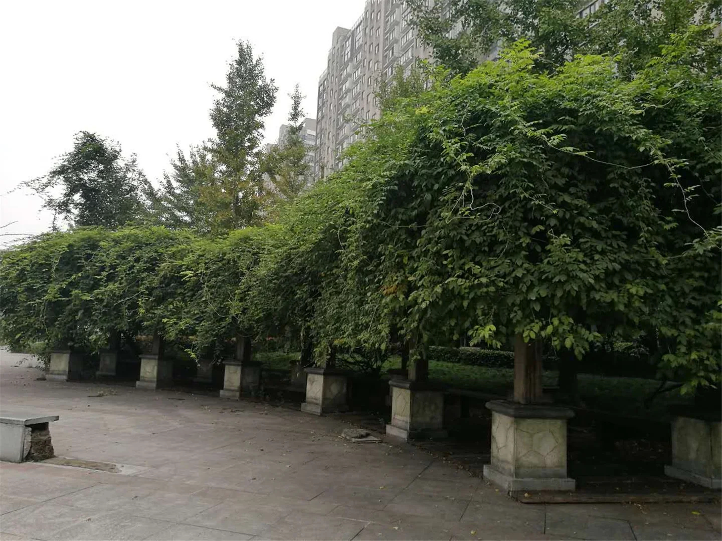 YC South Garden - Photo 27