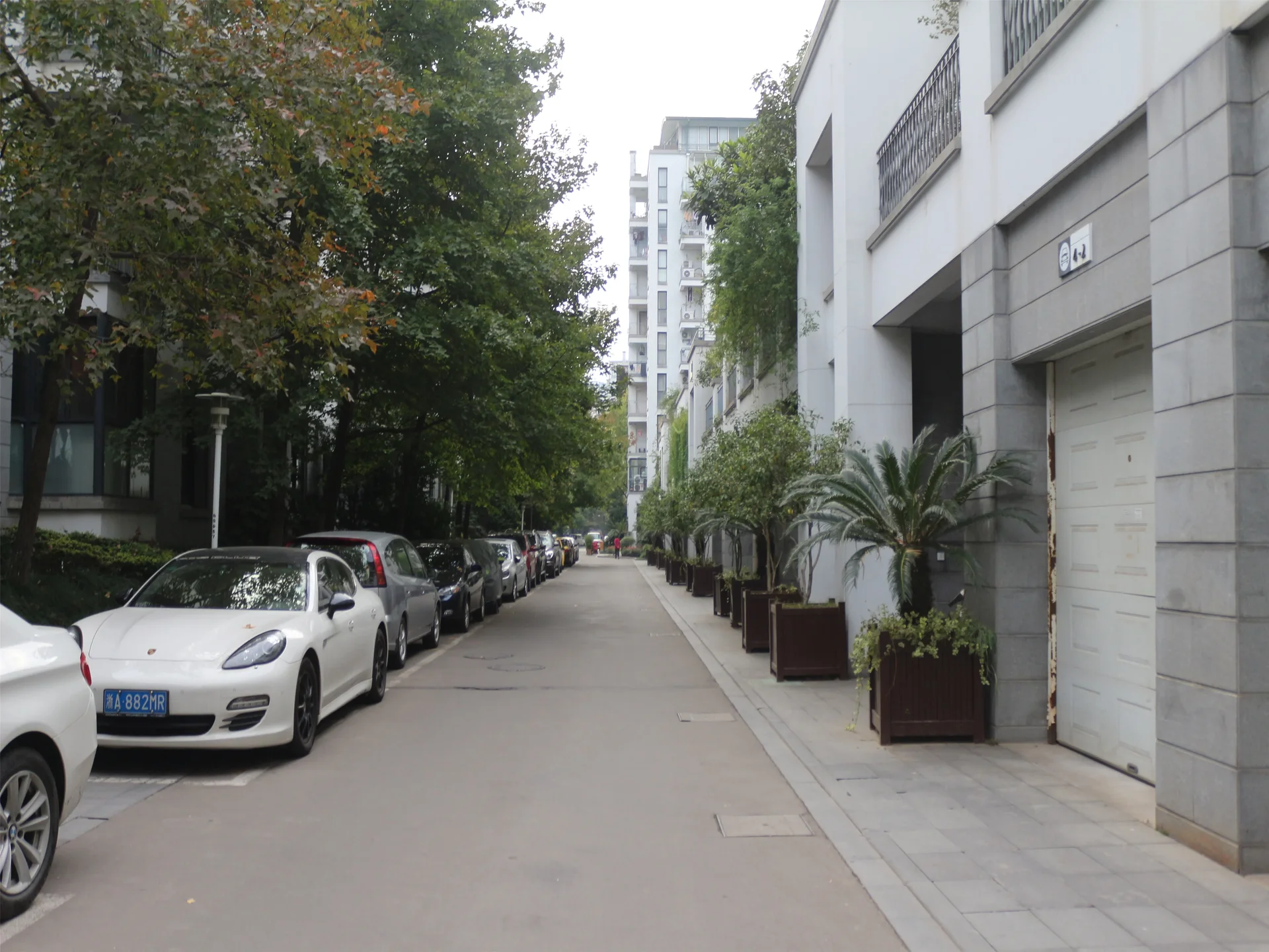 Jiangbin Garden - Photo 19