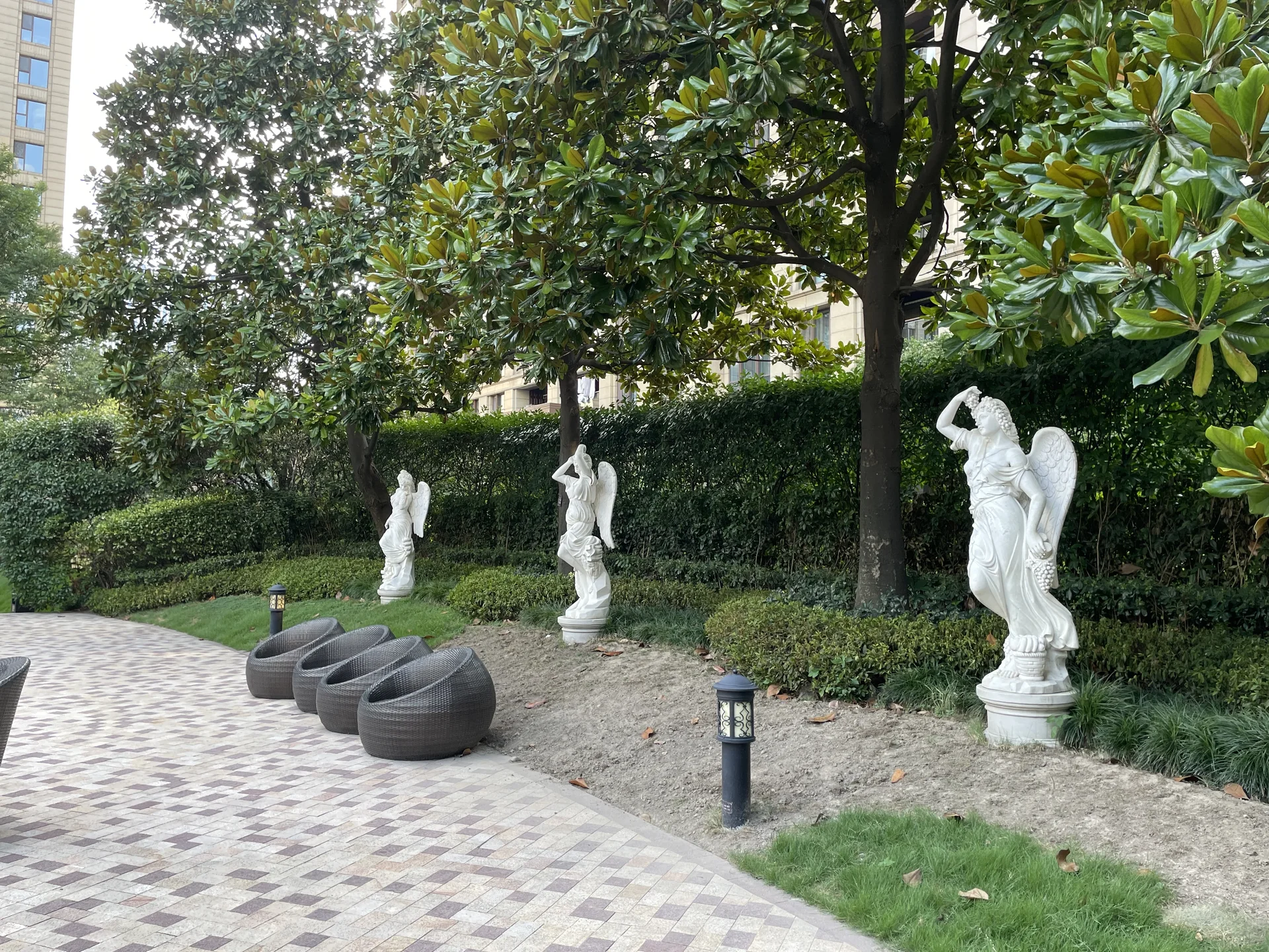 The City Star - Photo 8