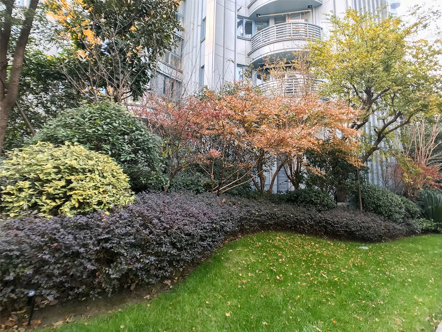 Oriental Royal Mansion - Photo 21