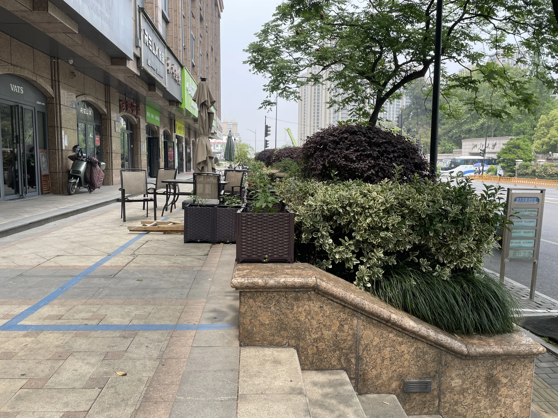 Purple Jade - Photo 9