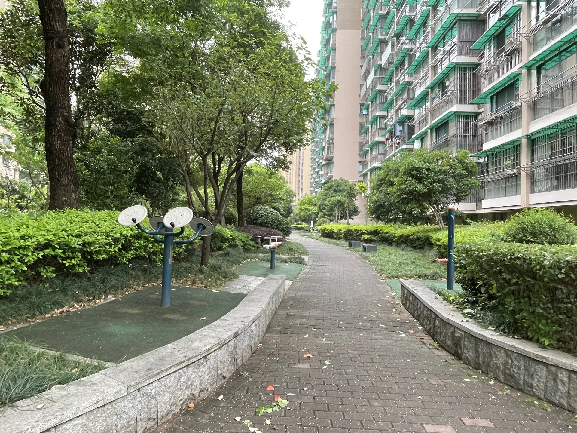 Shuixiang Homes - Photo 6