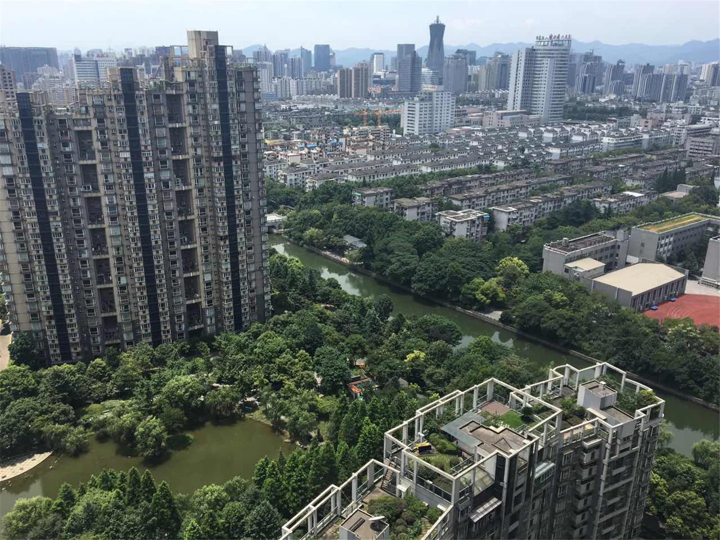 Modern  Garden - Photo 31