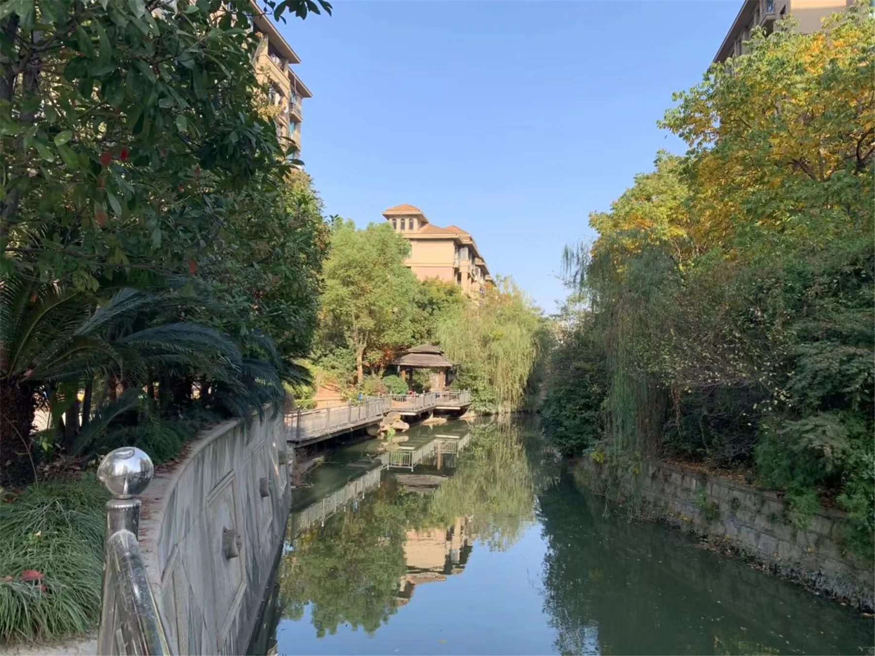 Regal Garden  - Photo 20