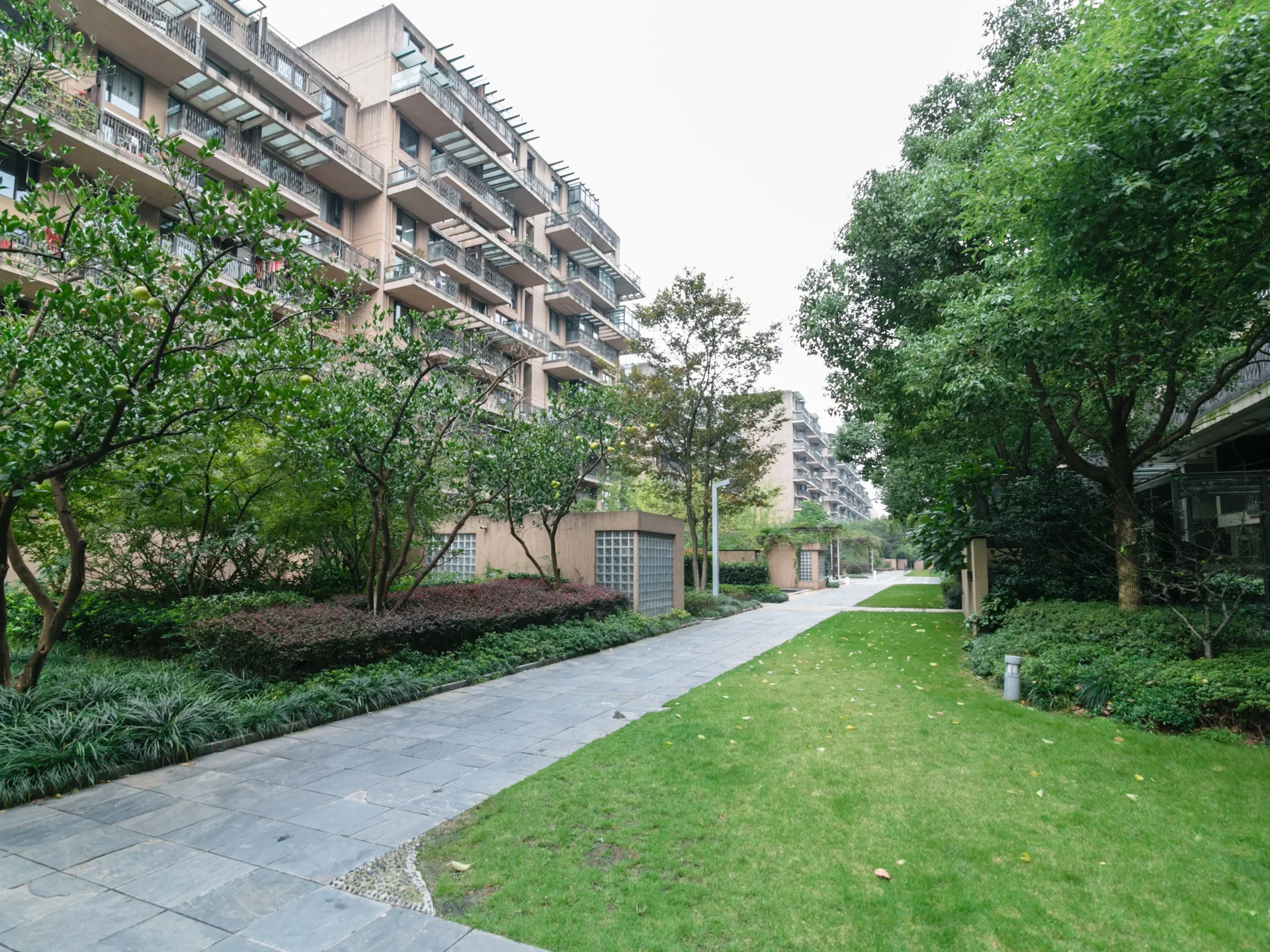 西溪蝶园 - Photo 7