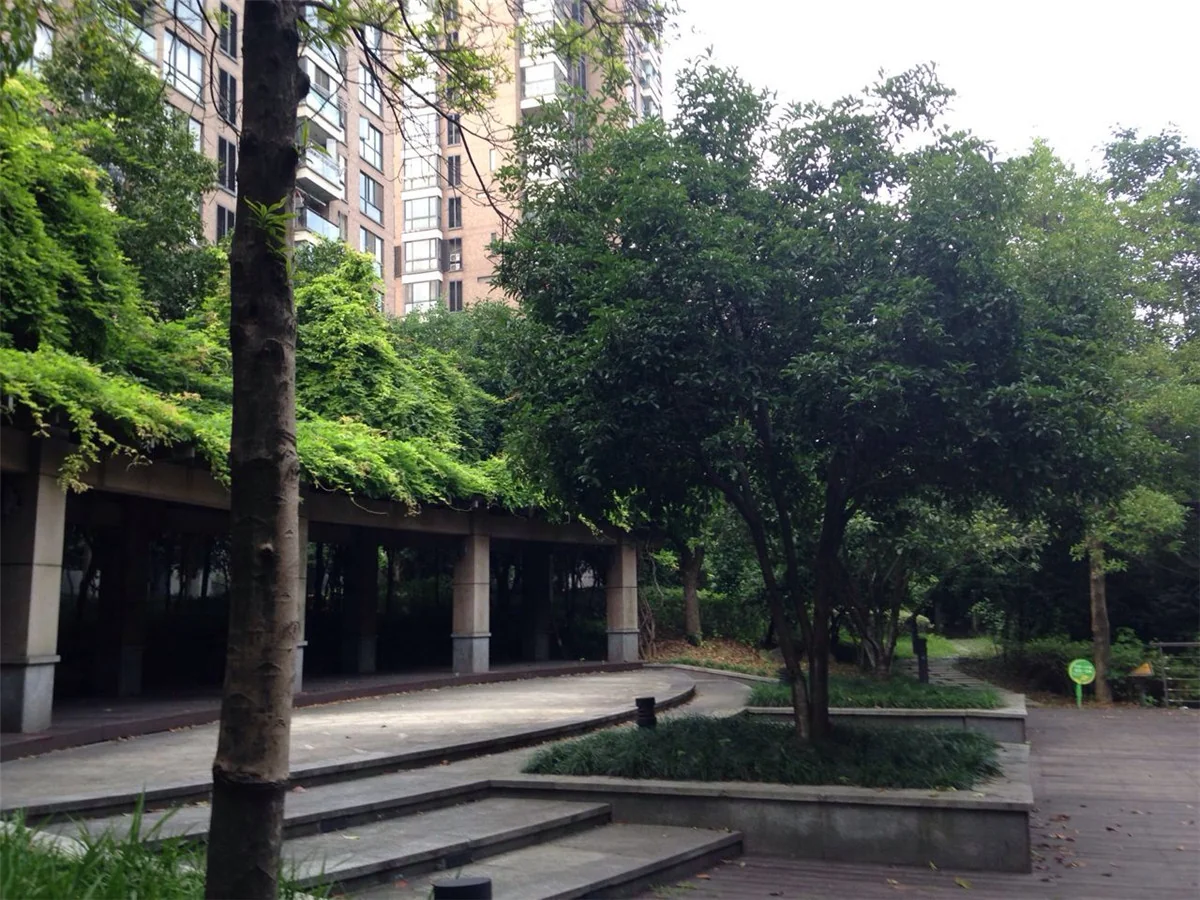 New Century City - Photo 29