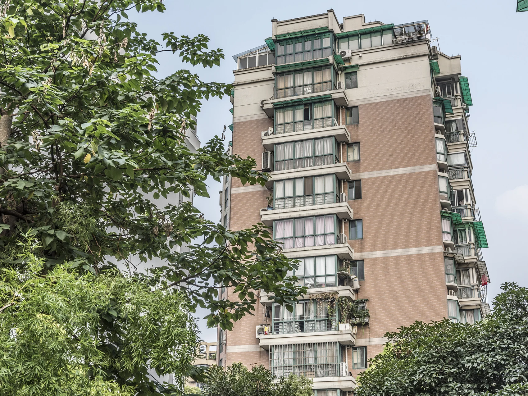 Xinfeng Garden - Photo 5