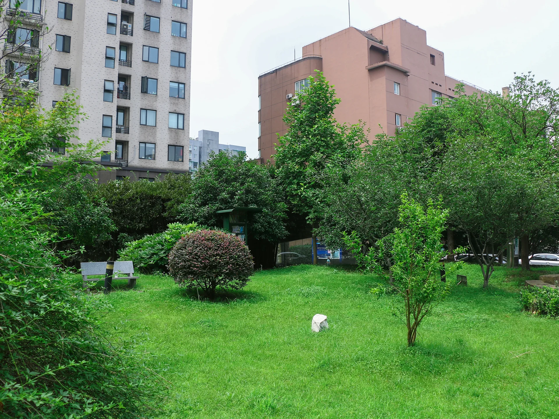 Natural Harvest Garden - Photo 24