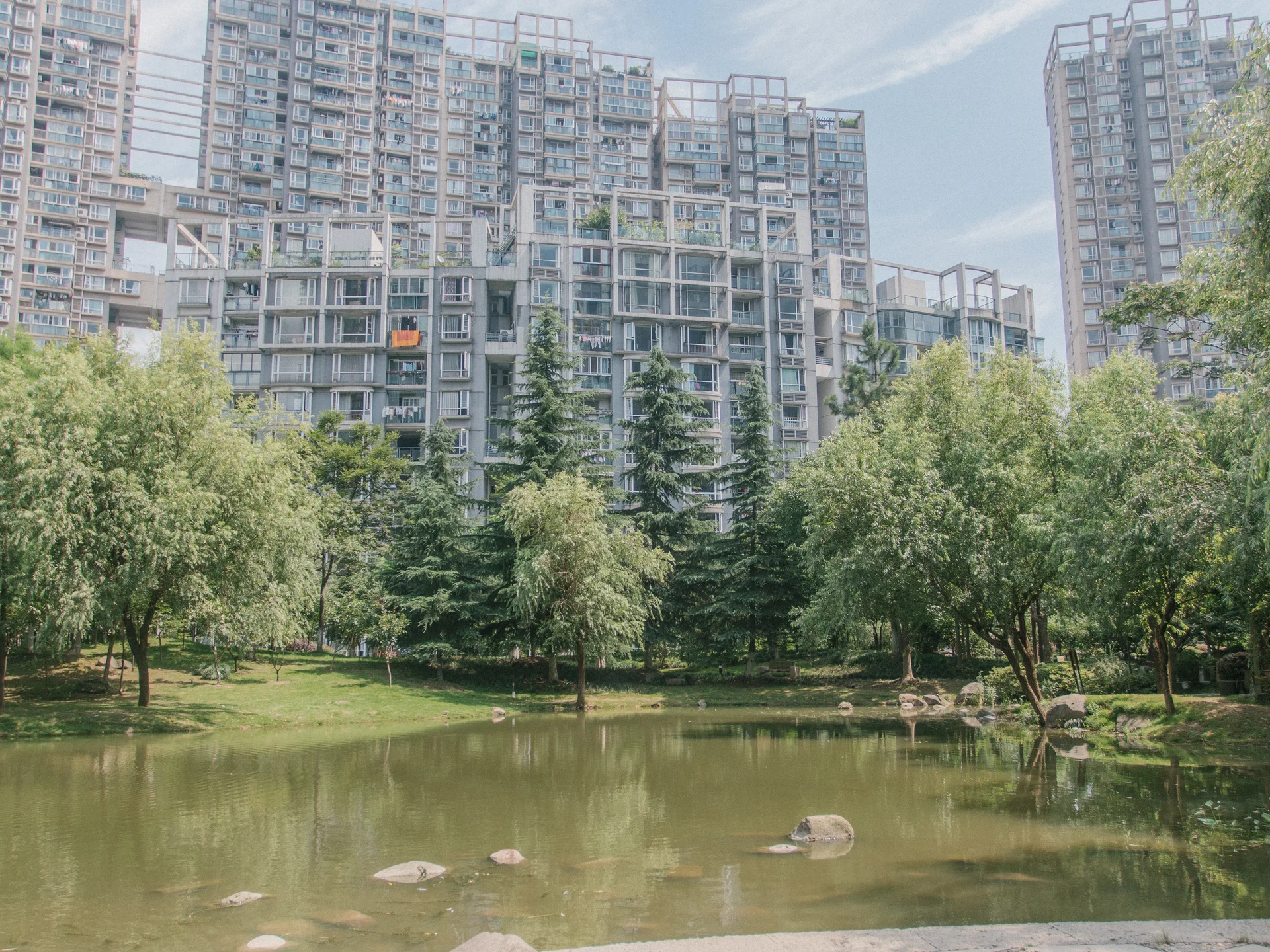 Modern  Garden - Photo 24