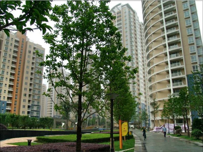 Spring River Grace City - Photo 3