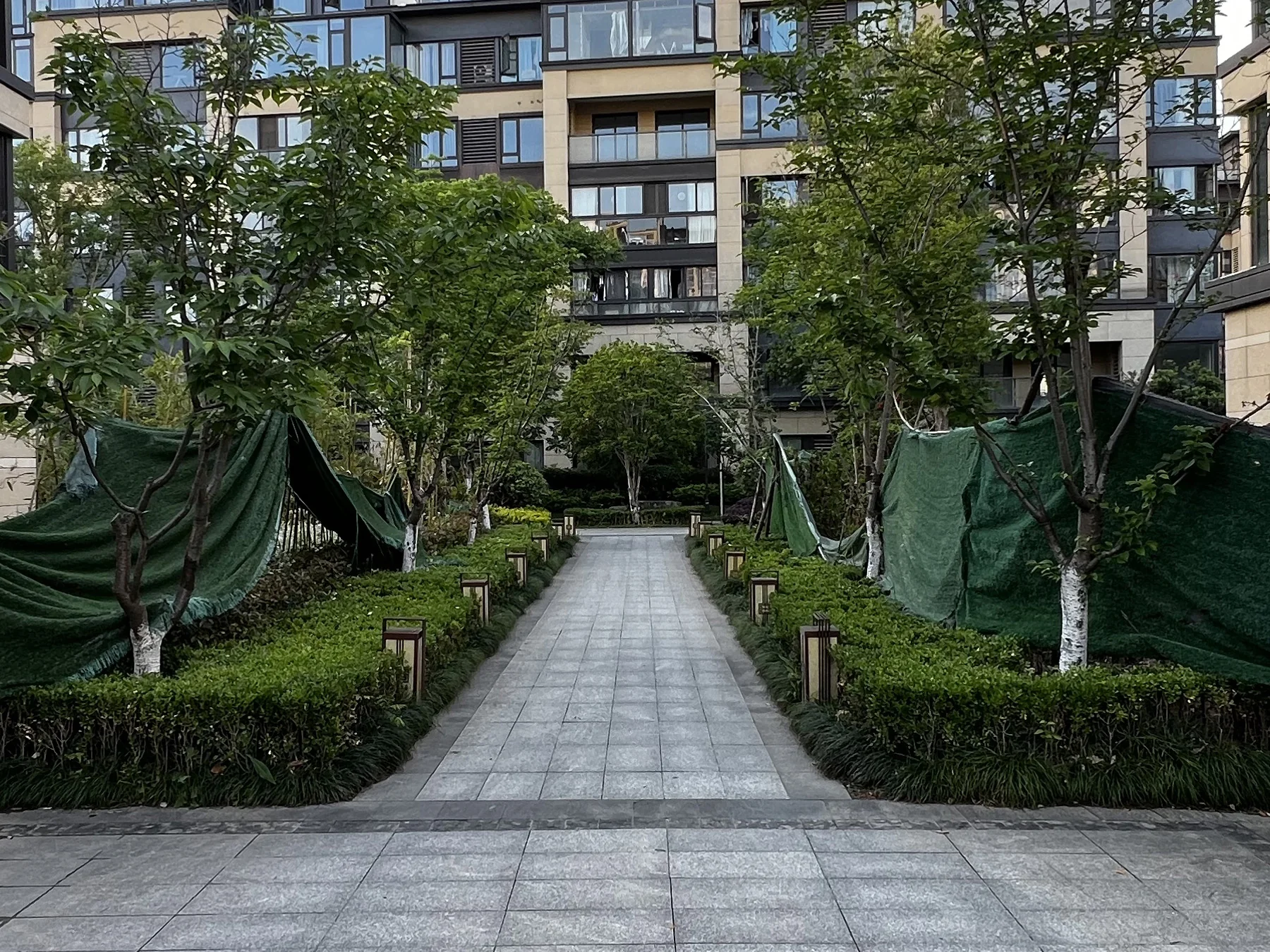 Scholar's Manor - Photo 5