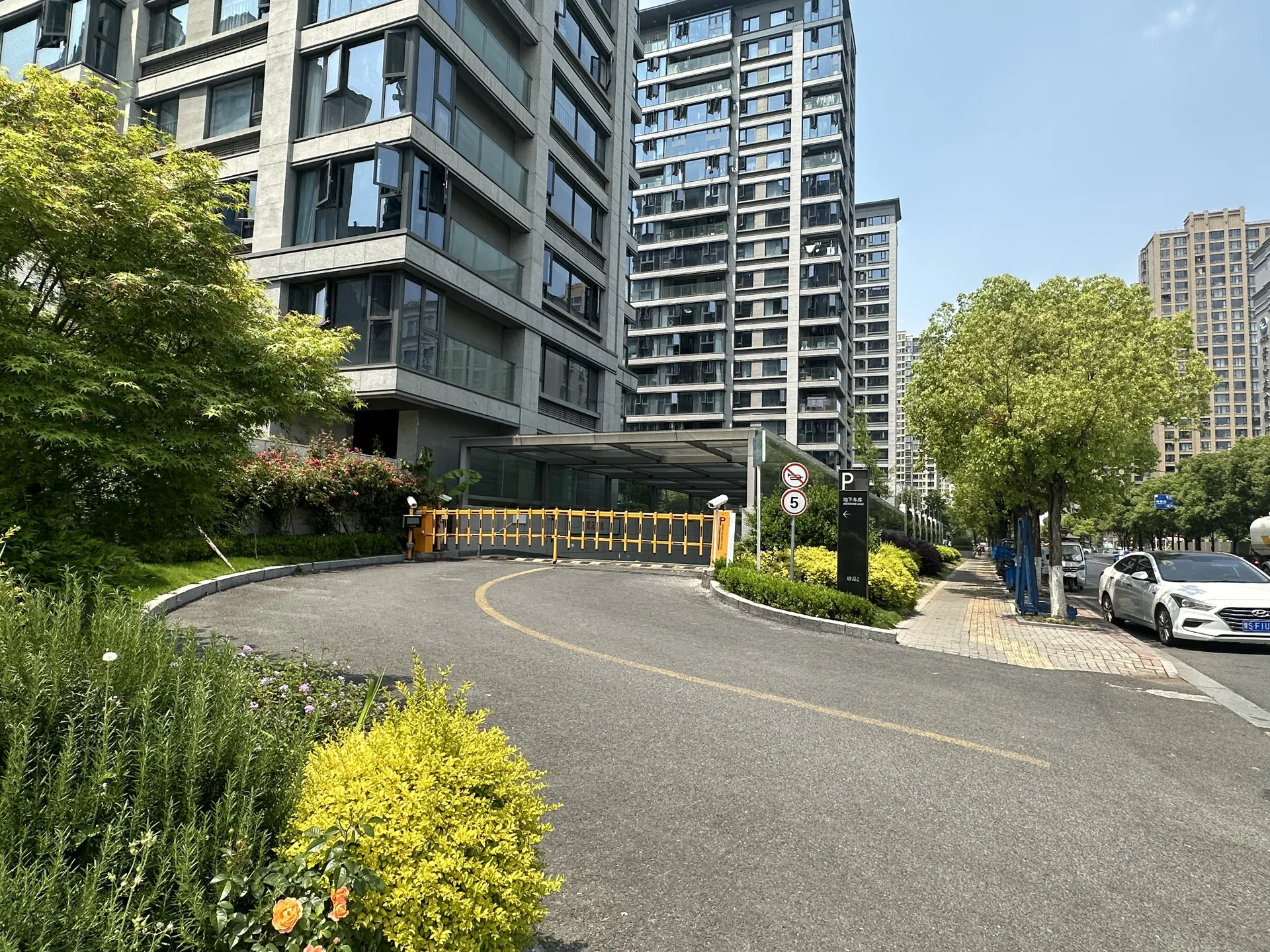 Poly Splendid - Photo 6