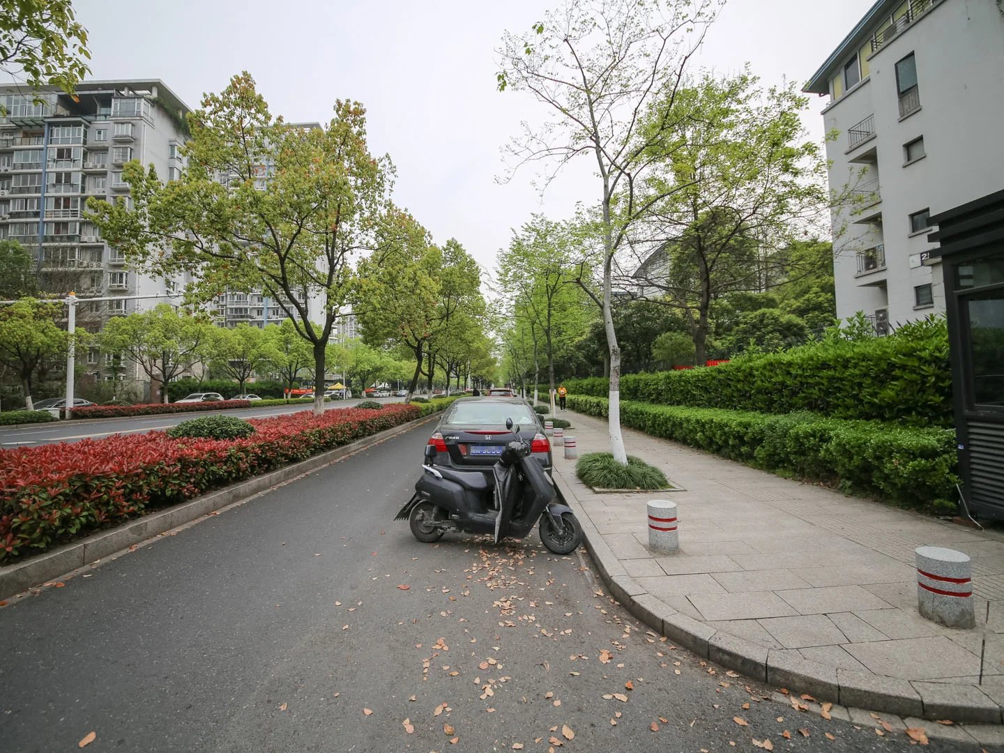 Jiangbin Garden - Photo 7