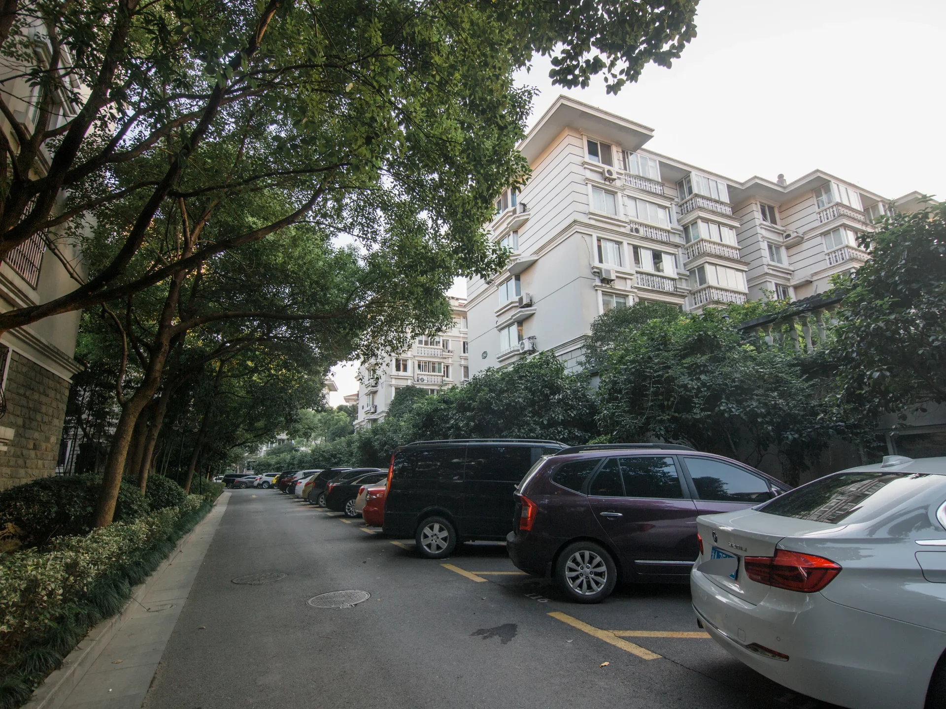 Eden View Garden - Photo 11