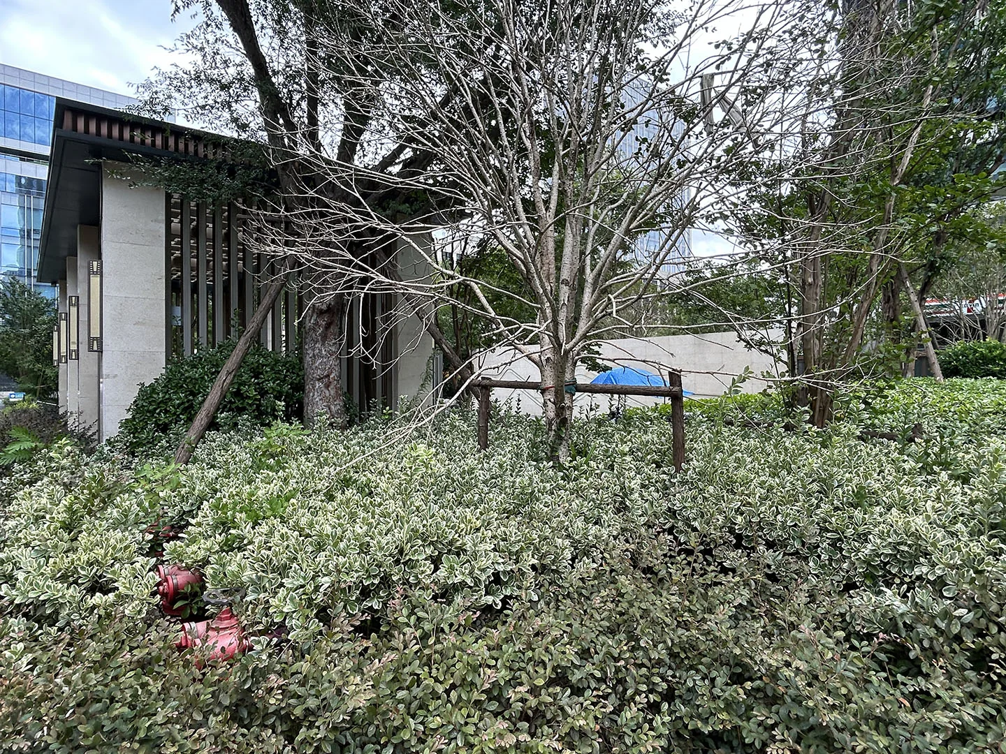 Times Heart - Photo 4