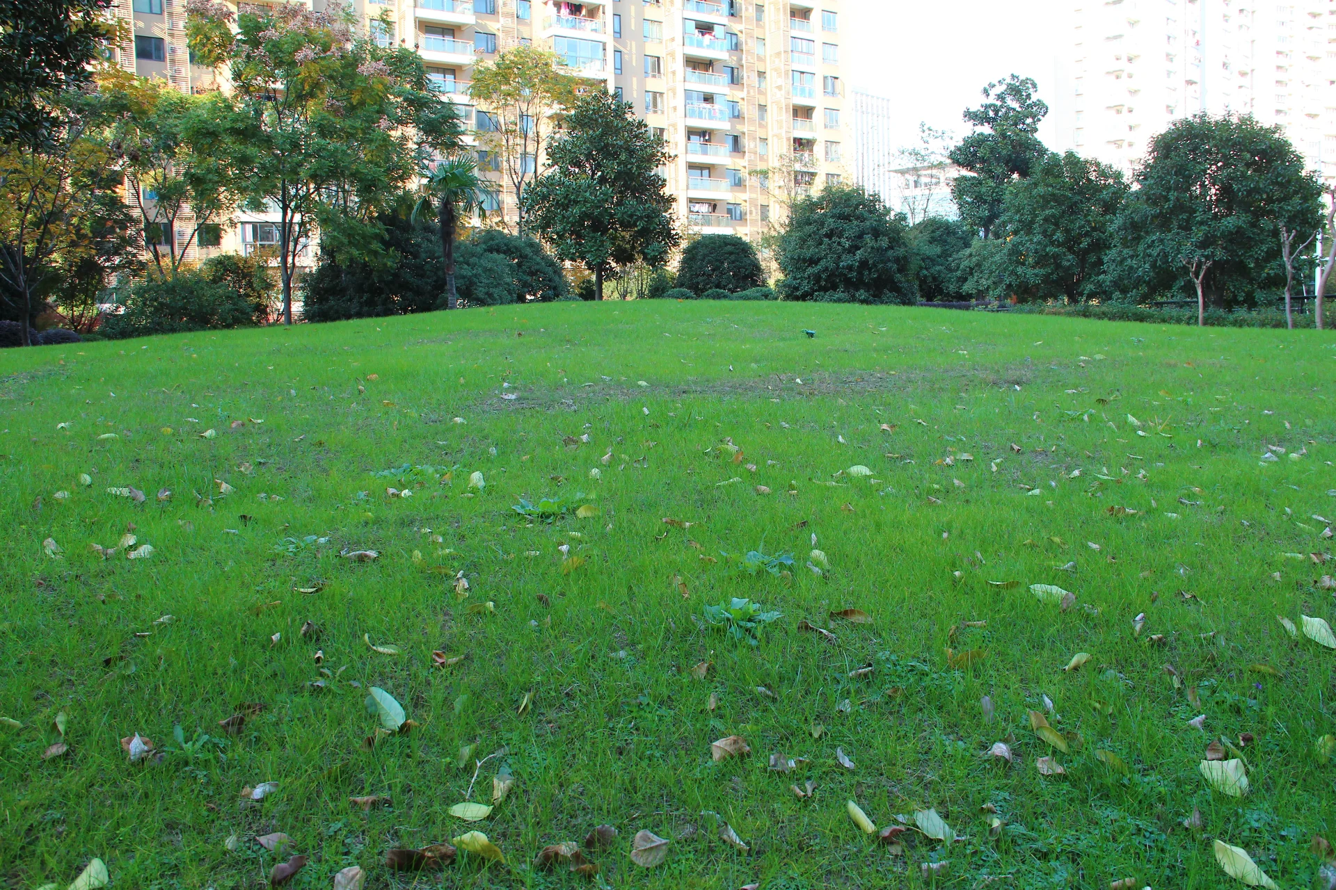 Elegant Qiantang - Photo 33