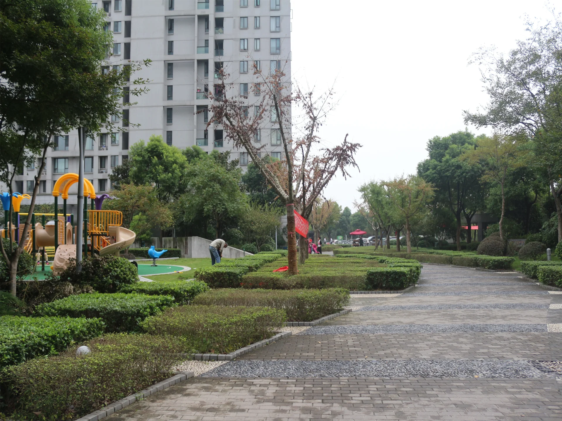 Enjoy Century - Photo 20