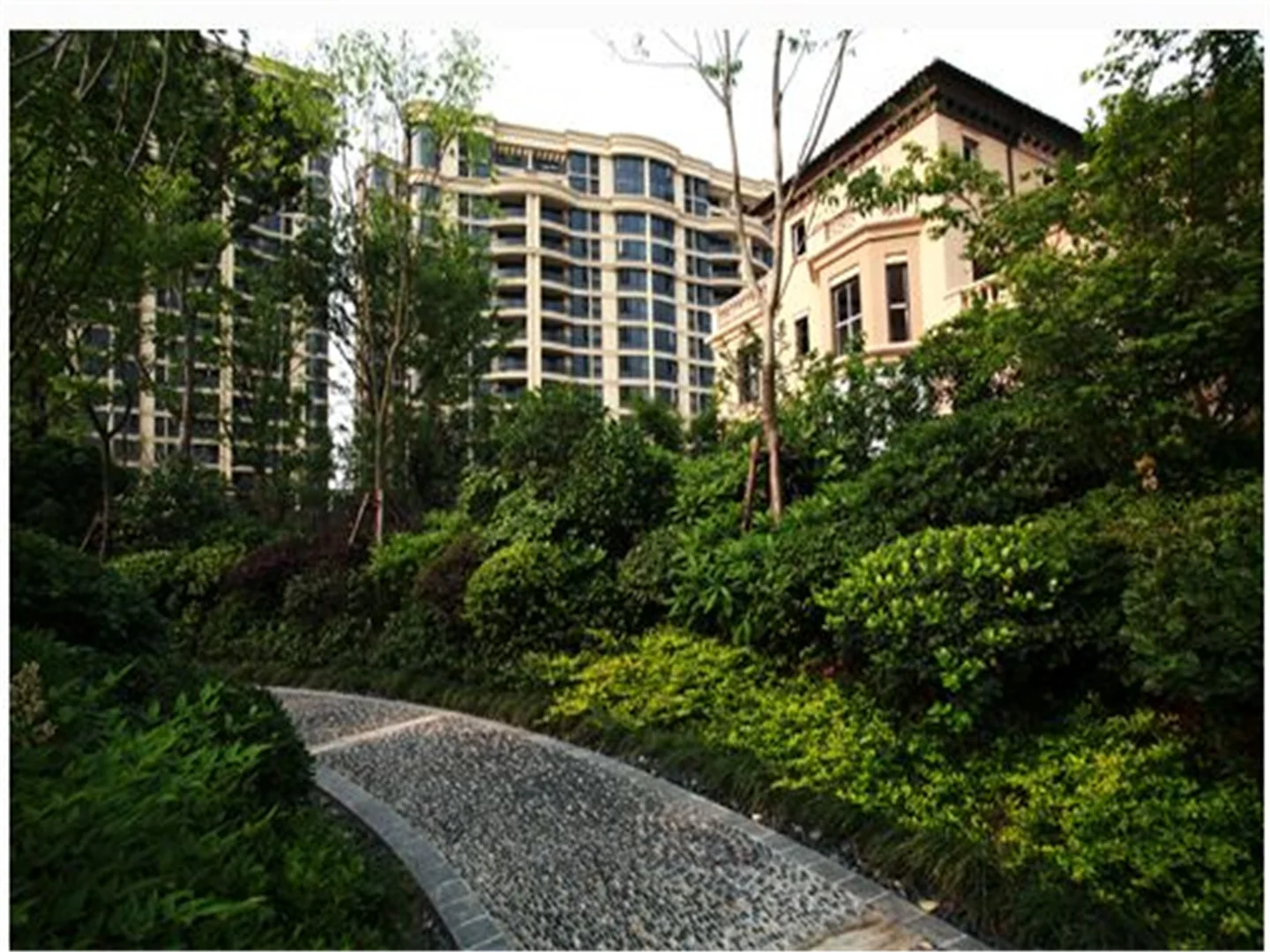 Tulip Shore - Photo 20