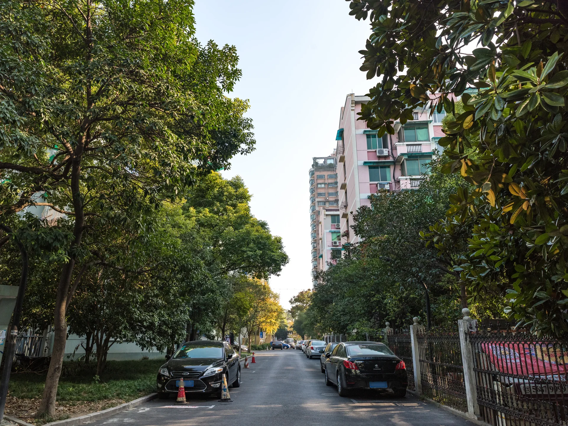 Meizheng Garden - Photo 19