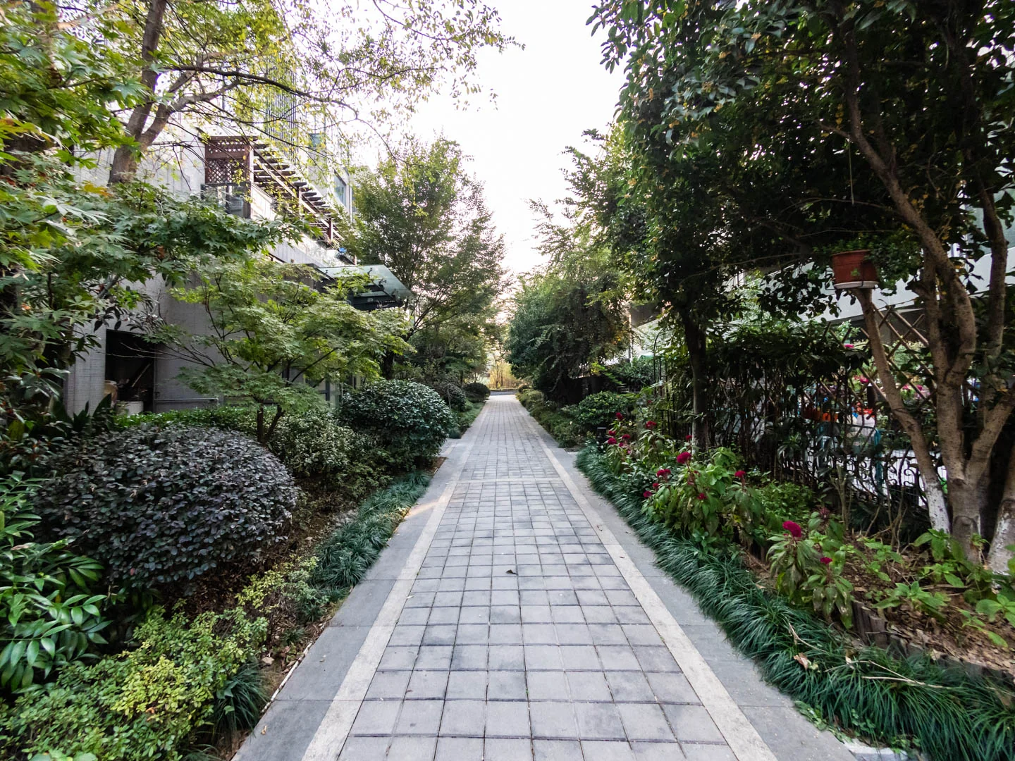 Noble Golden West Garden - Photo 7