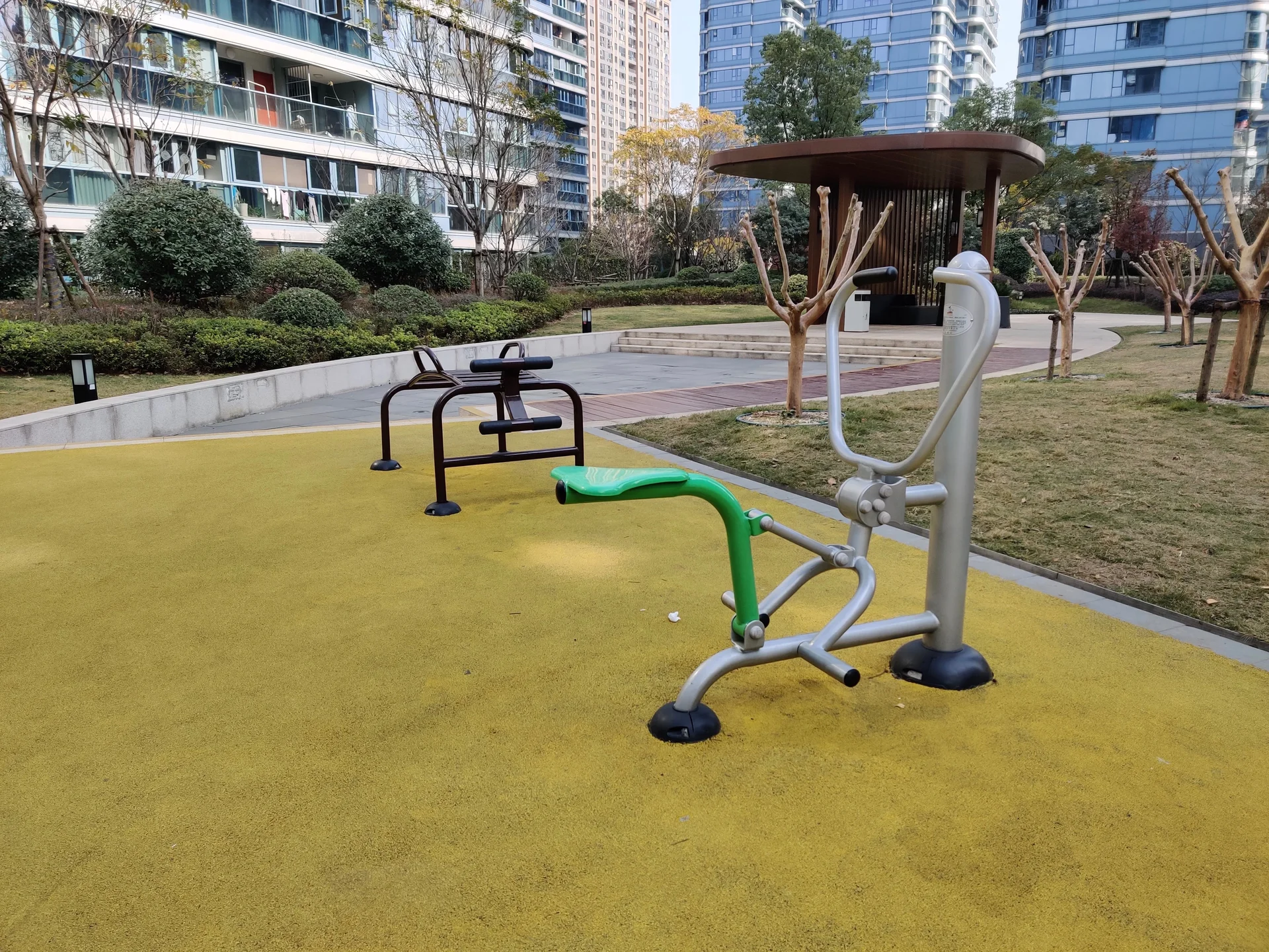 Blue Peacock - Photo 11