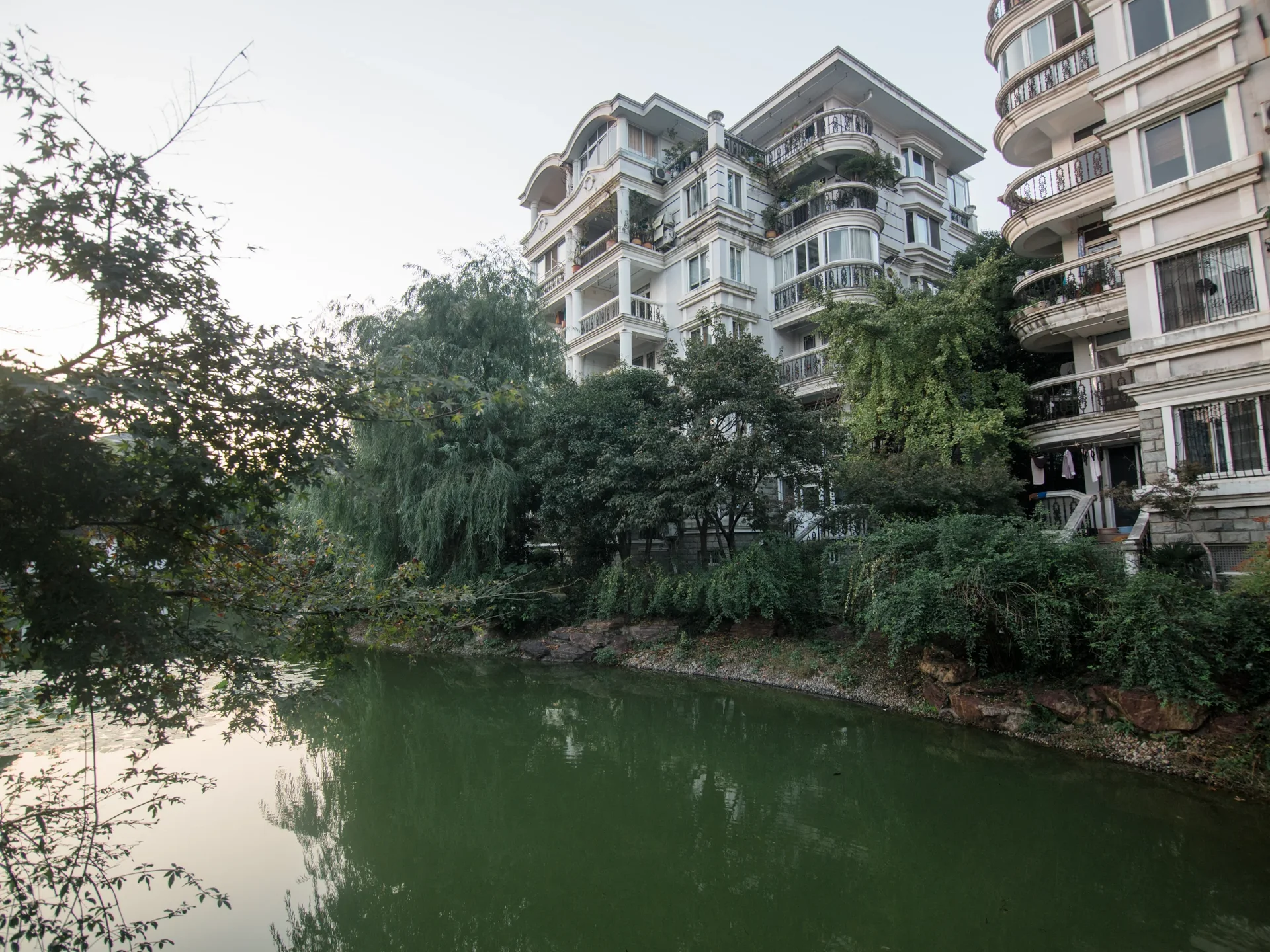 Eden View Garden - Photo 27