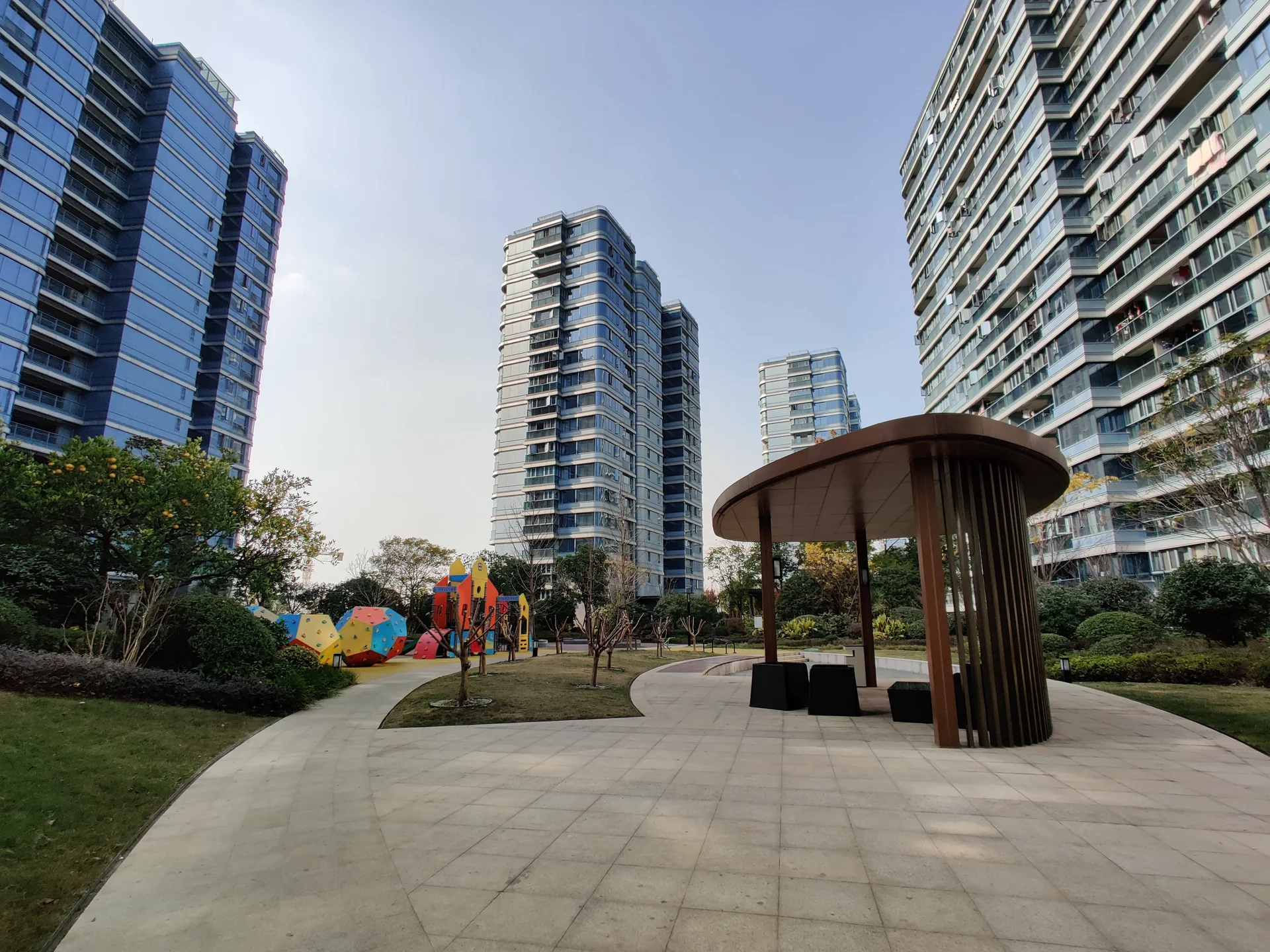 Blue Peacock - Photo 2