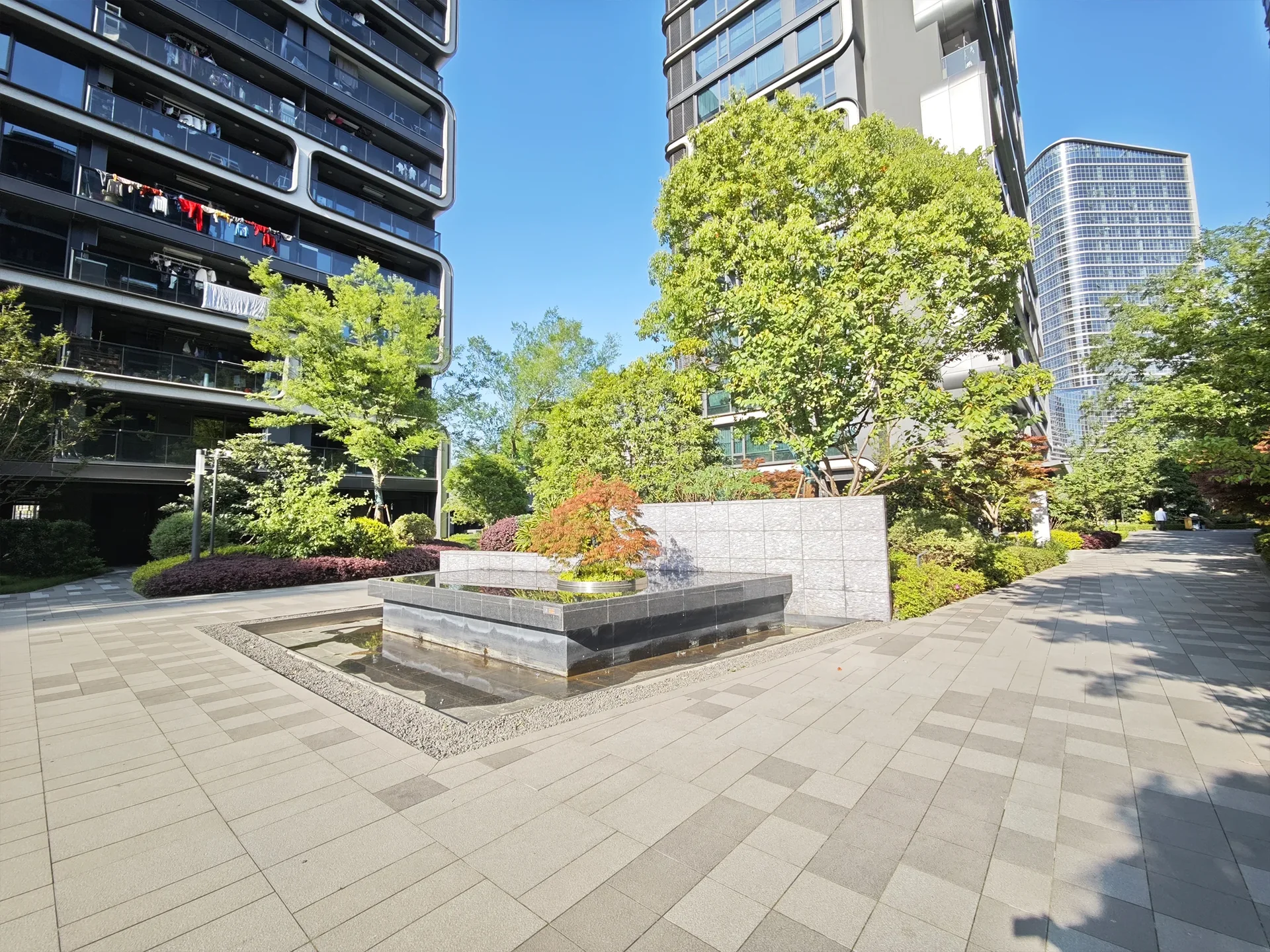 Renaissance - Photo 3