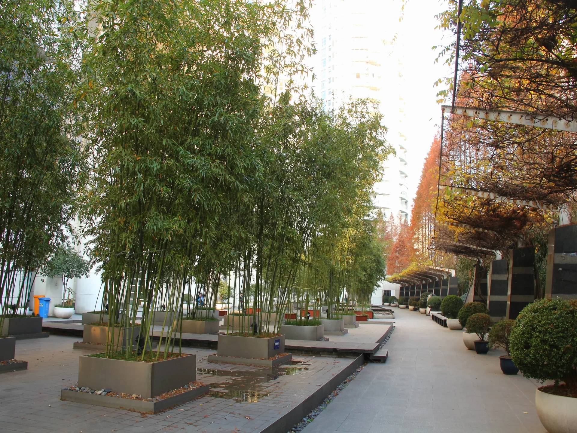 Narada Ginza - Photo 18