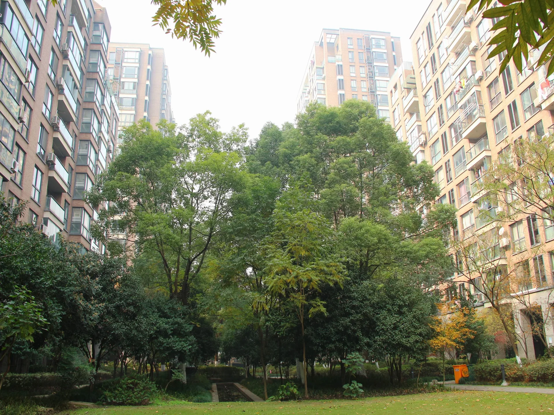 New Century City - Photo 5