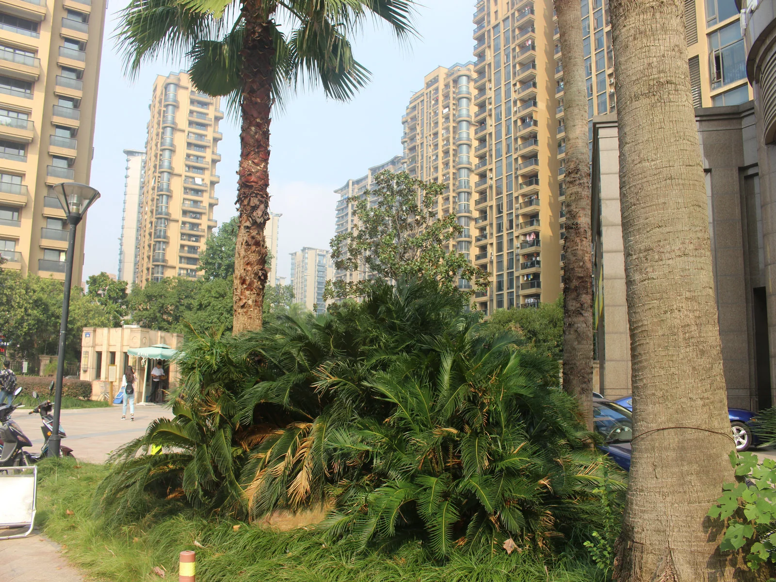 Wanjia Floral City - Photo 15