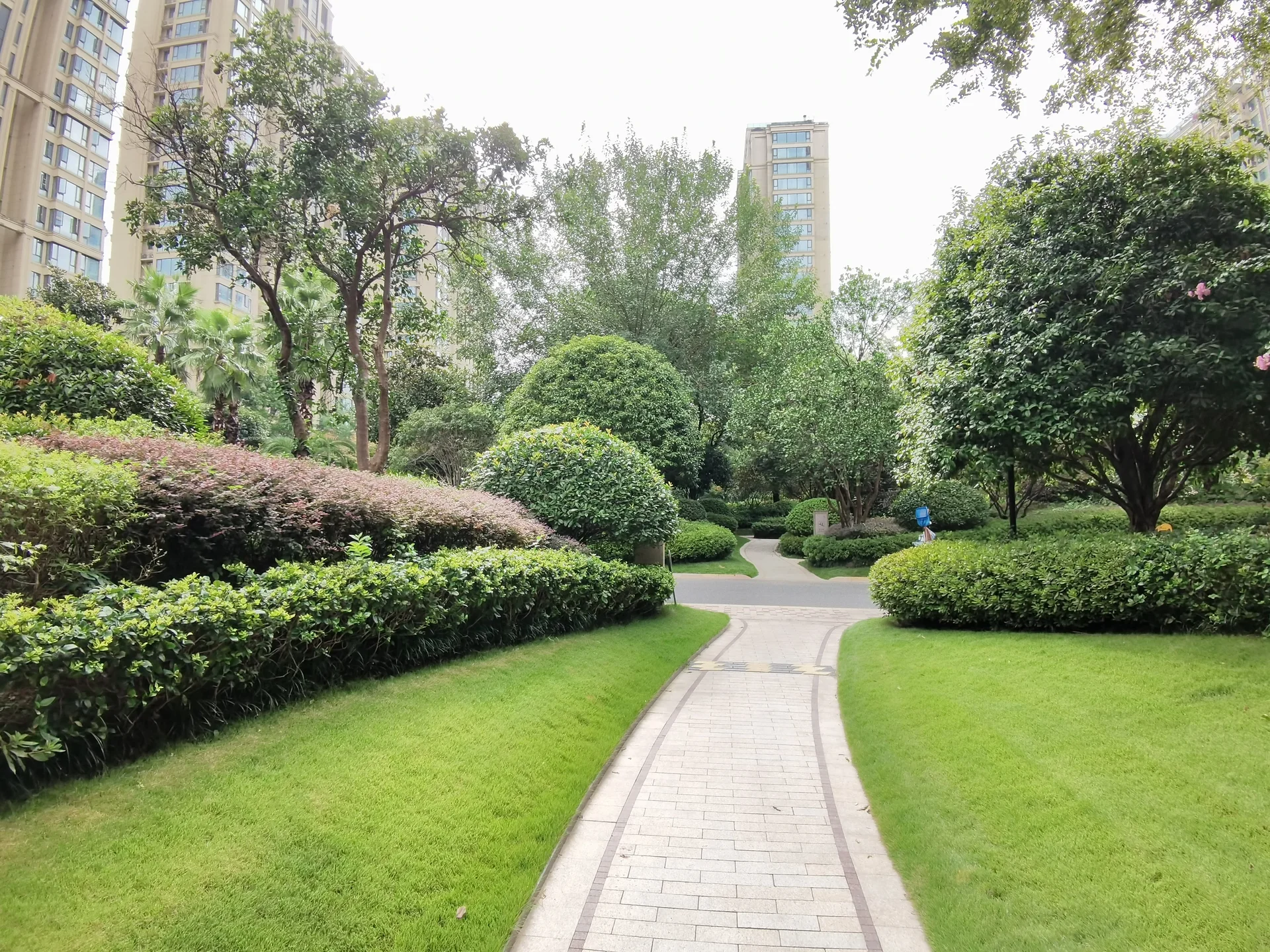 Wanjia City - Photo 5