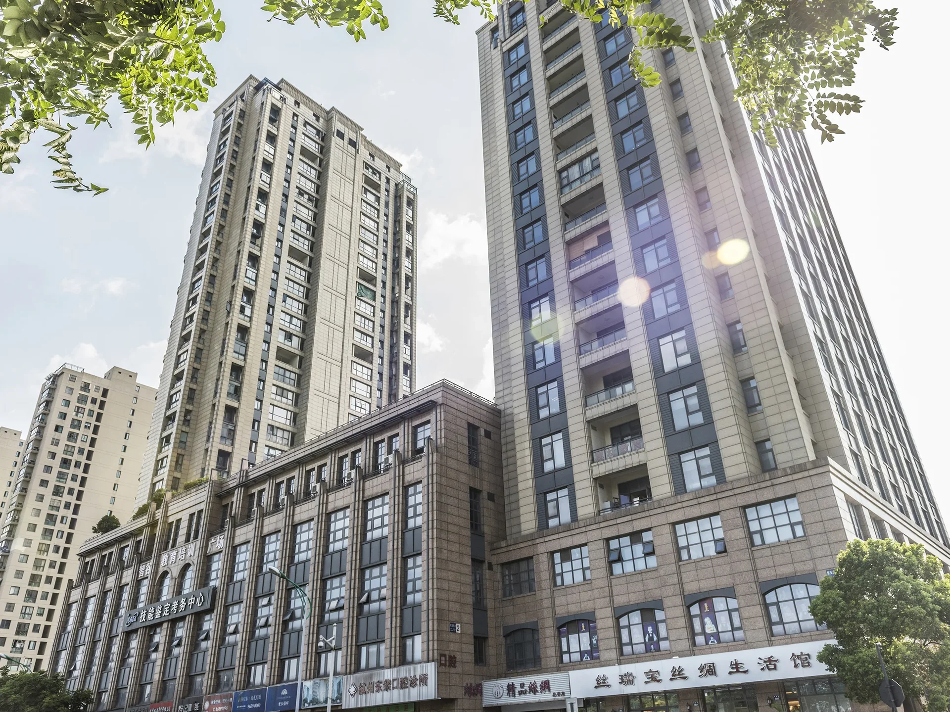 Purple Jade - Photo 4