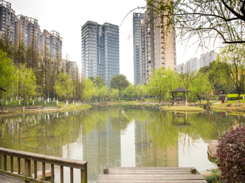 Modern  Garden - Photo 10