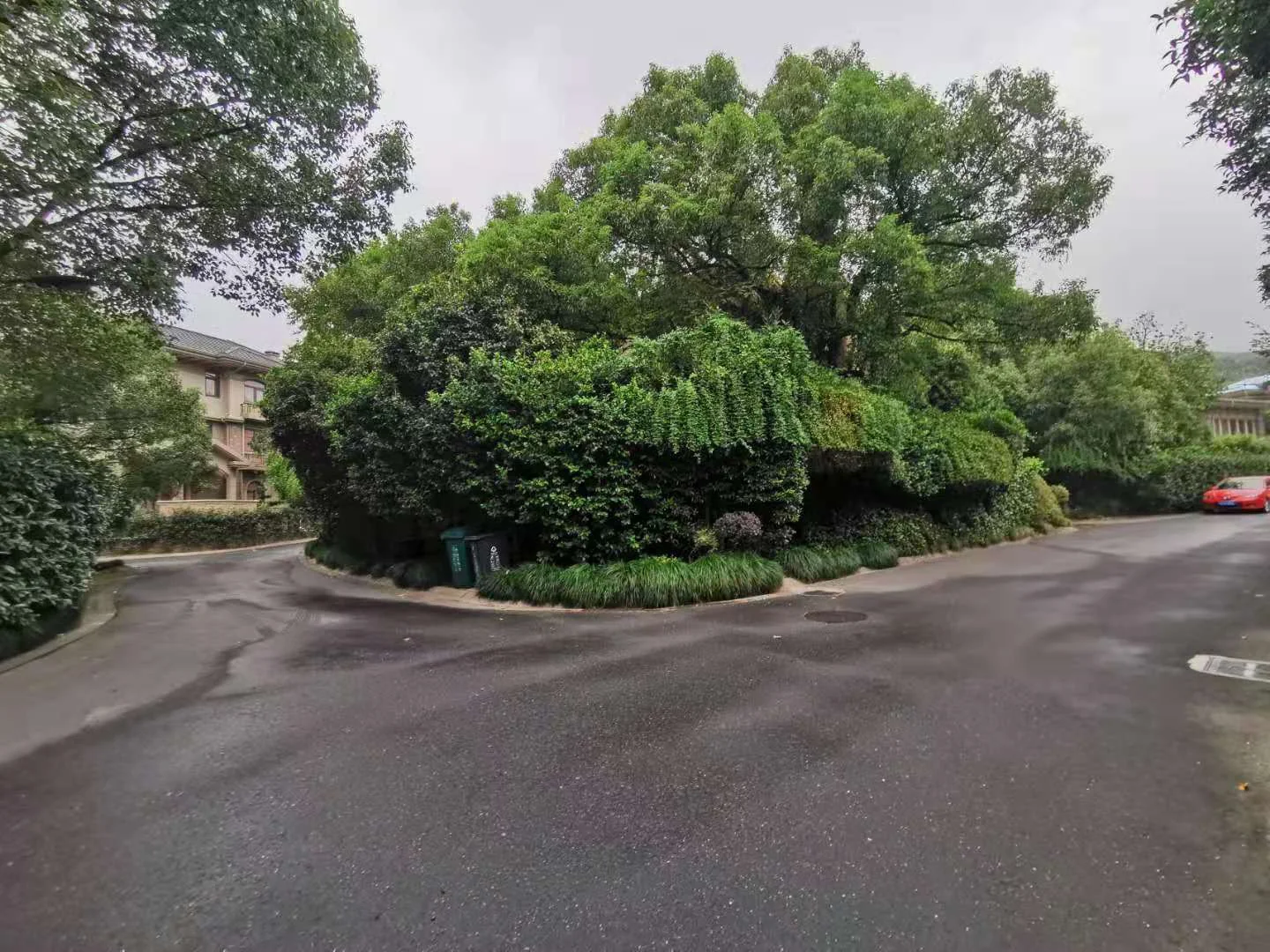 The Butterfly Valley - Photo 18