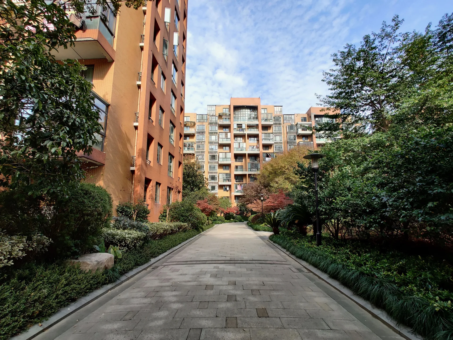 Oak Garden - Photo 12