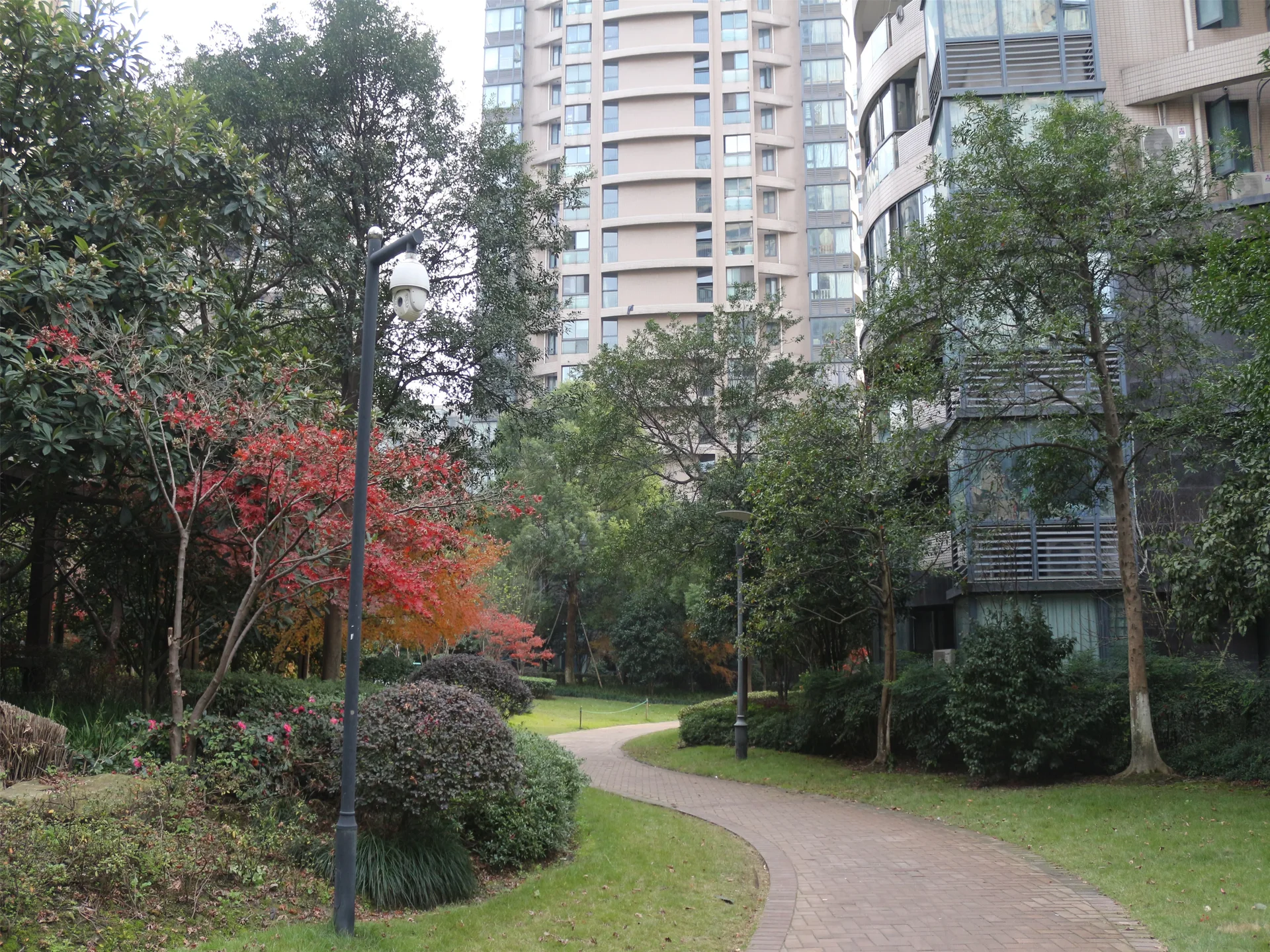 YJ Cultural Garden - Photo 17