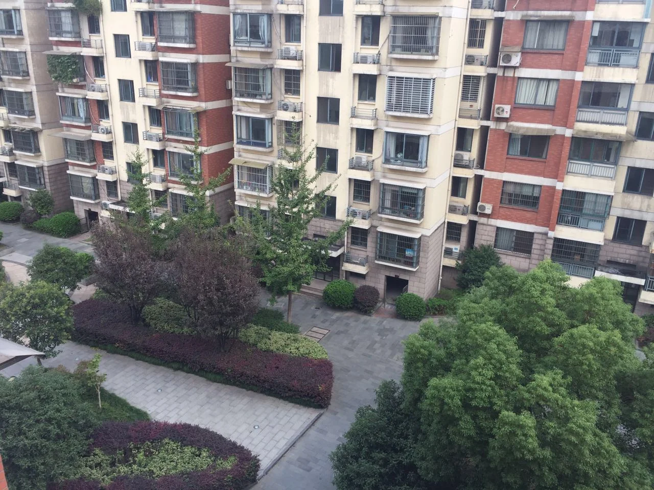 Changdao Spring - Photo 19