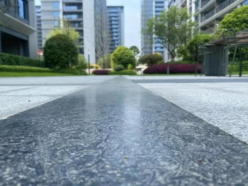 IMPERIAL MANSION - Photo 3