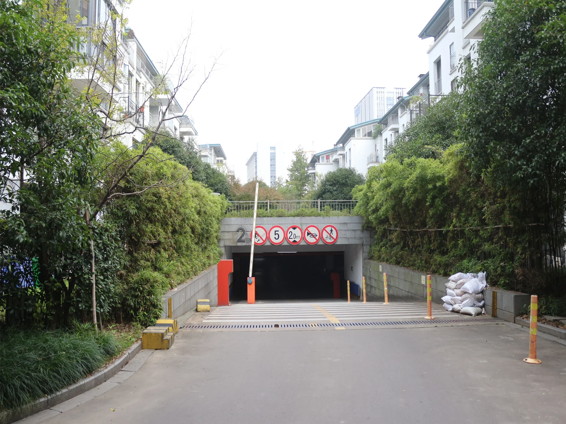 Jiangbin Garden - Photo 37