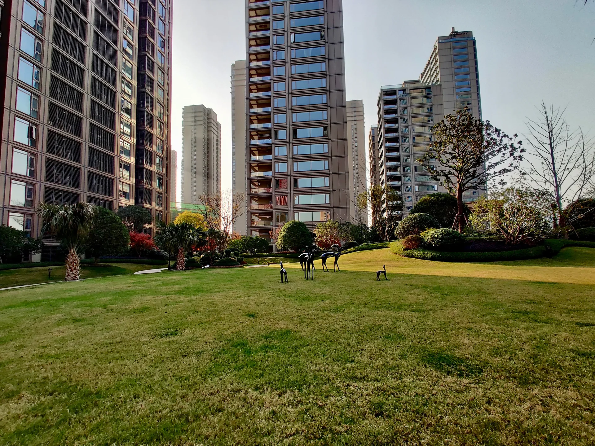 Splendid City - Photo 8