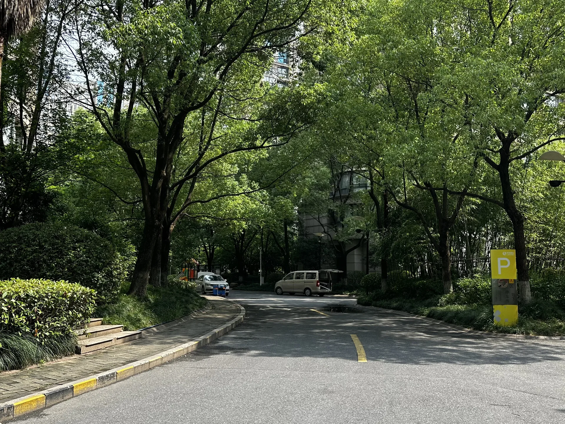 Love of the City - Photo 5