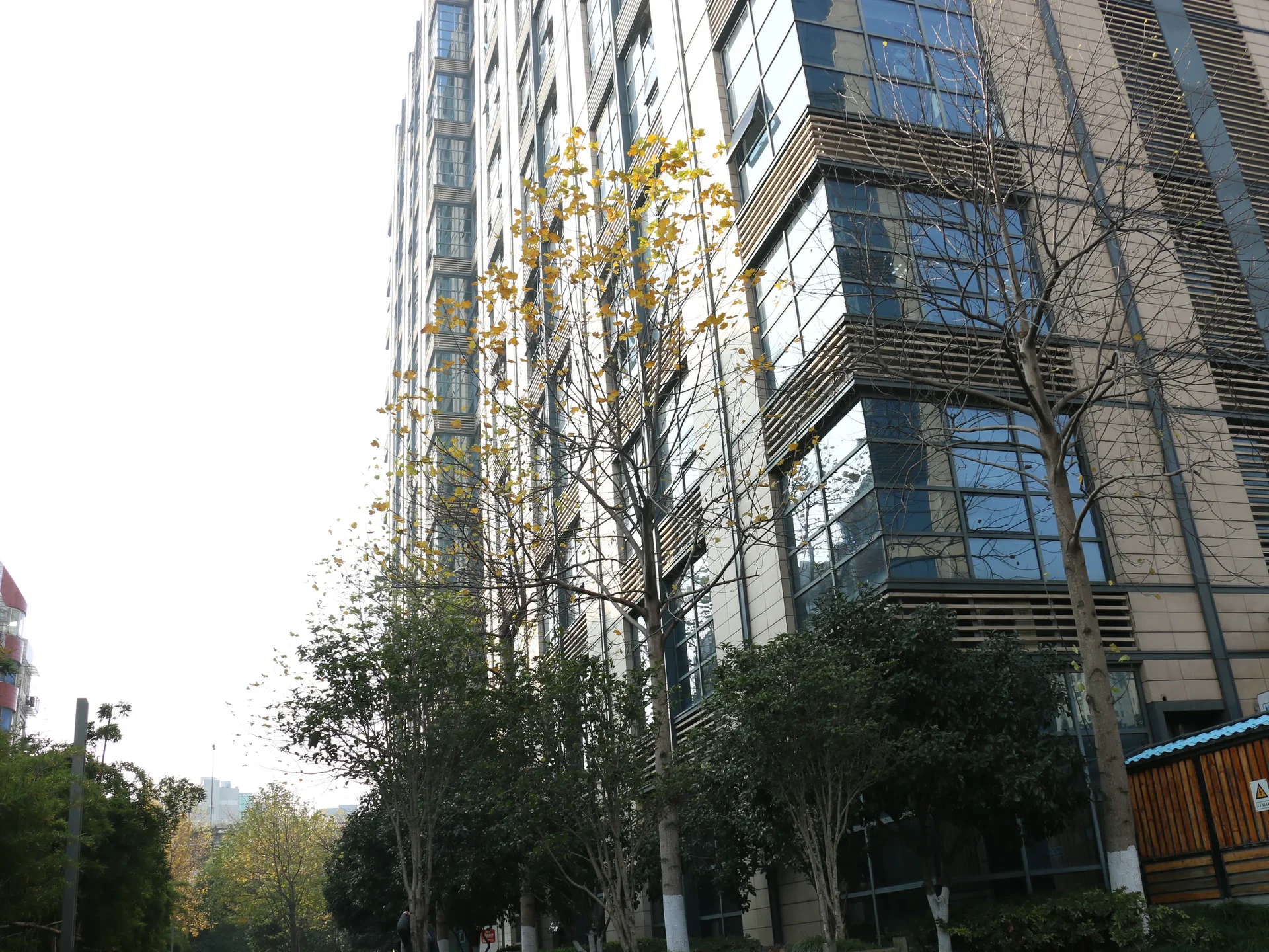 Aureate City - Photo 5